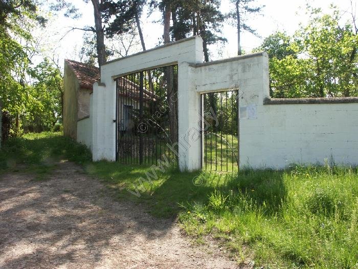 židovský hřbitov