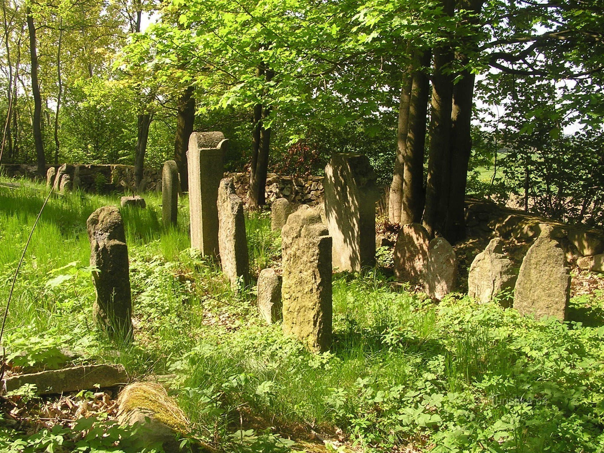 Jüdischer Friedhof - 9.5.2009