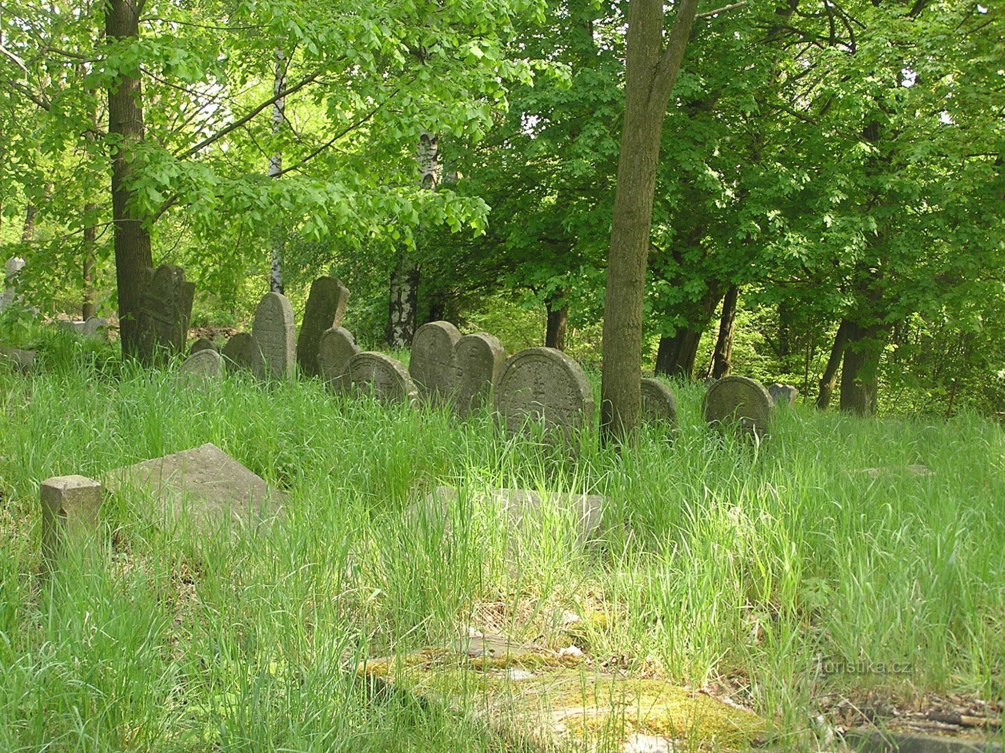 Jüdischer Friedhof - 9.5.2009