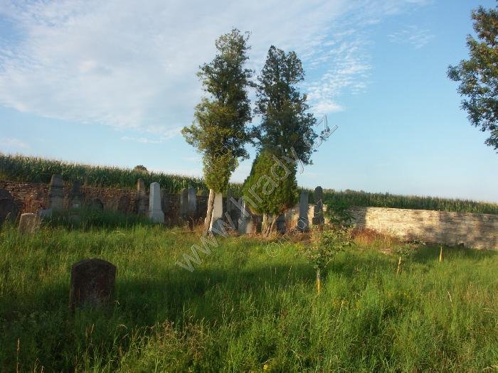 židovský hřbitov