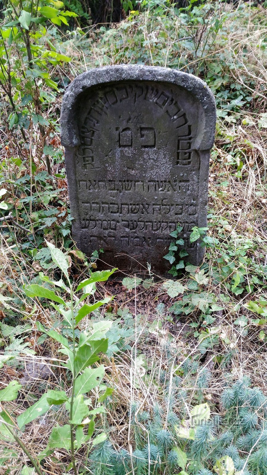 Čížkovice ユダヤ人墓地。