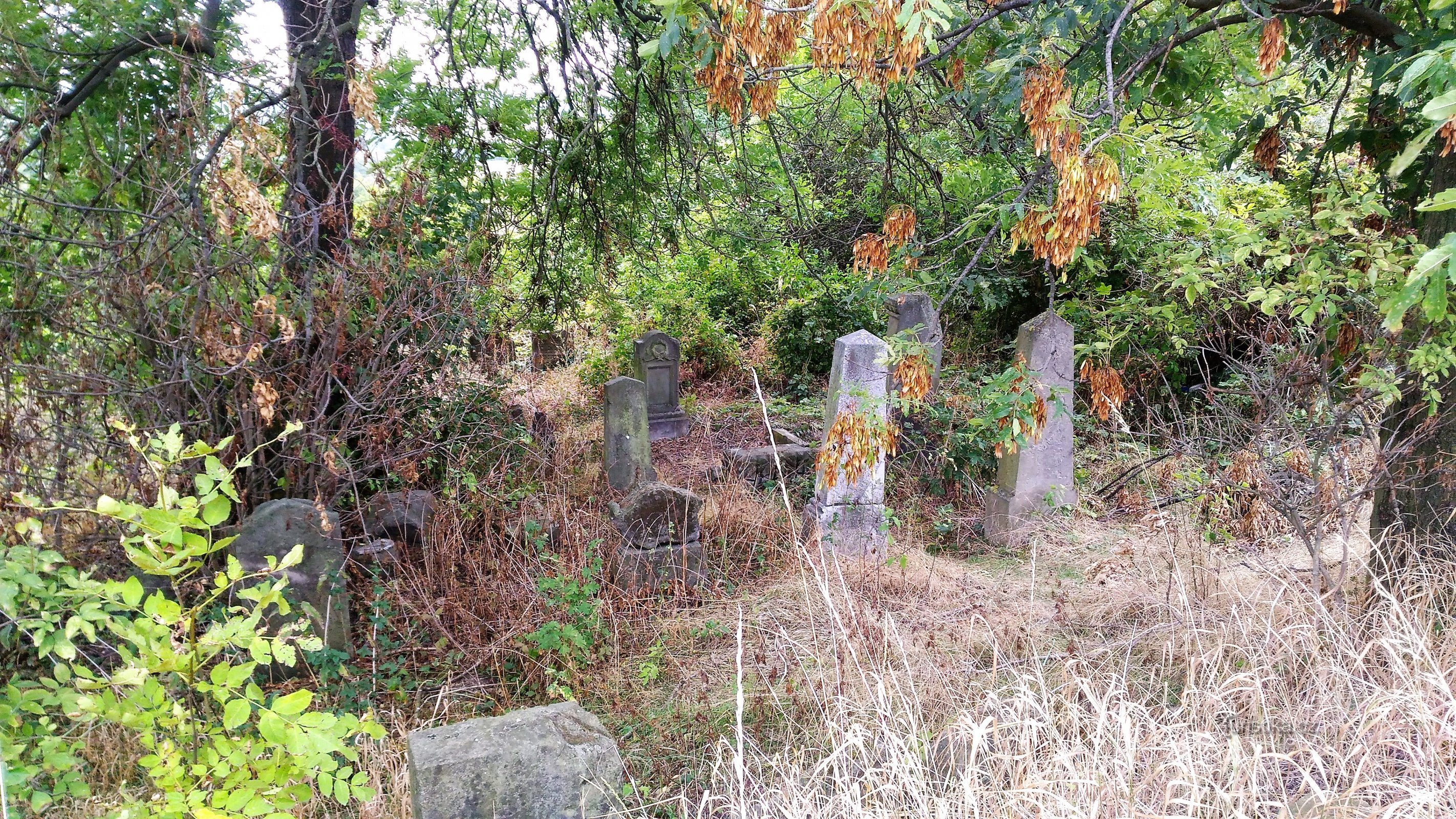 Čížkovice jødiske kirkegård.