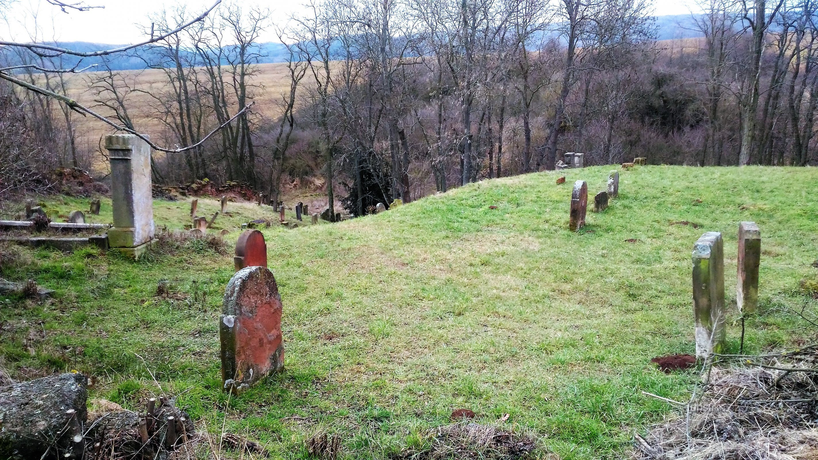 Cimitero ebraico di Drahonice.