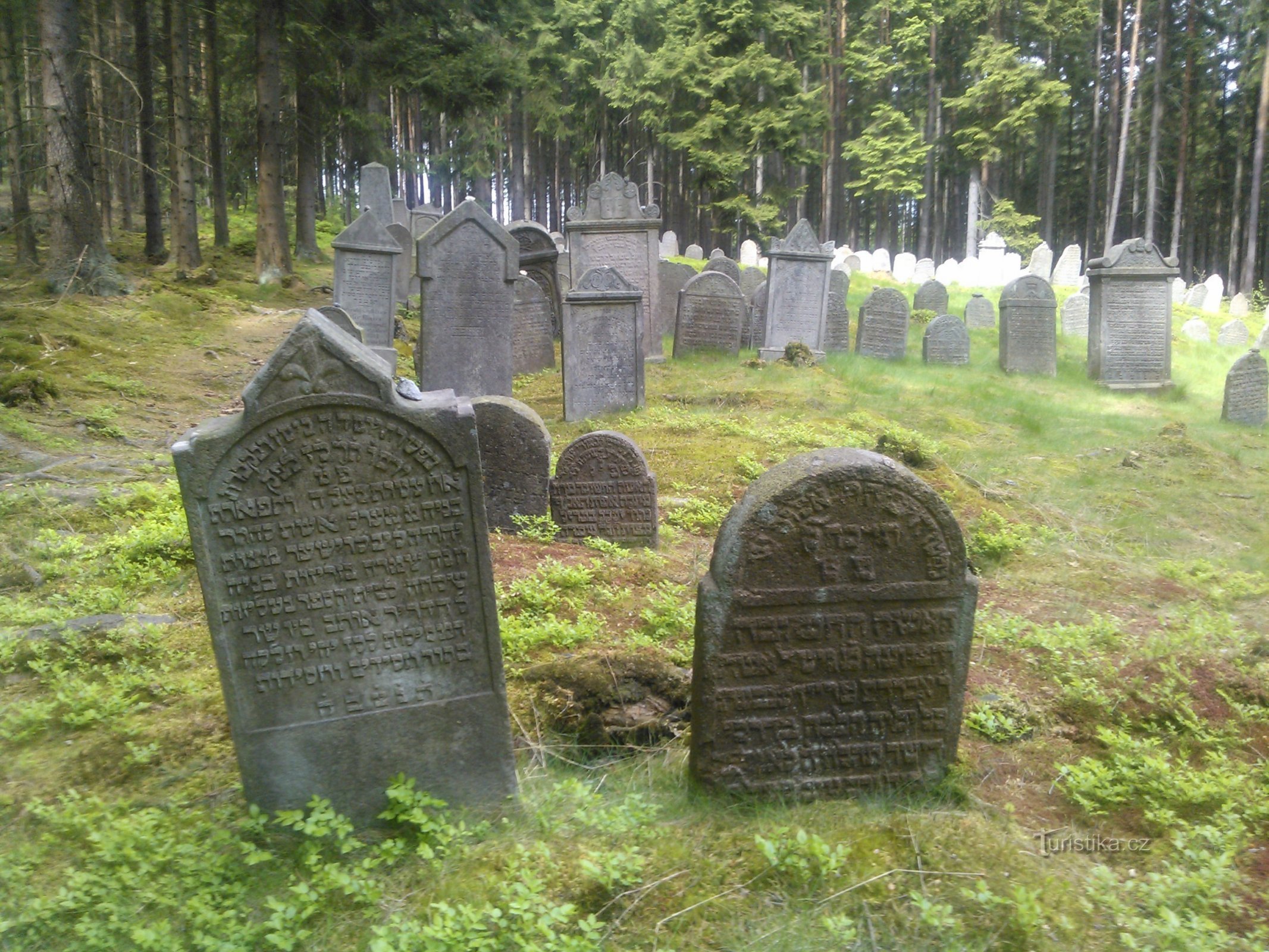 Cimetière juif de Drmoul