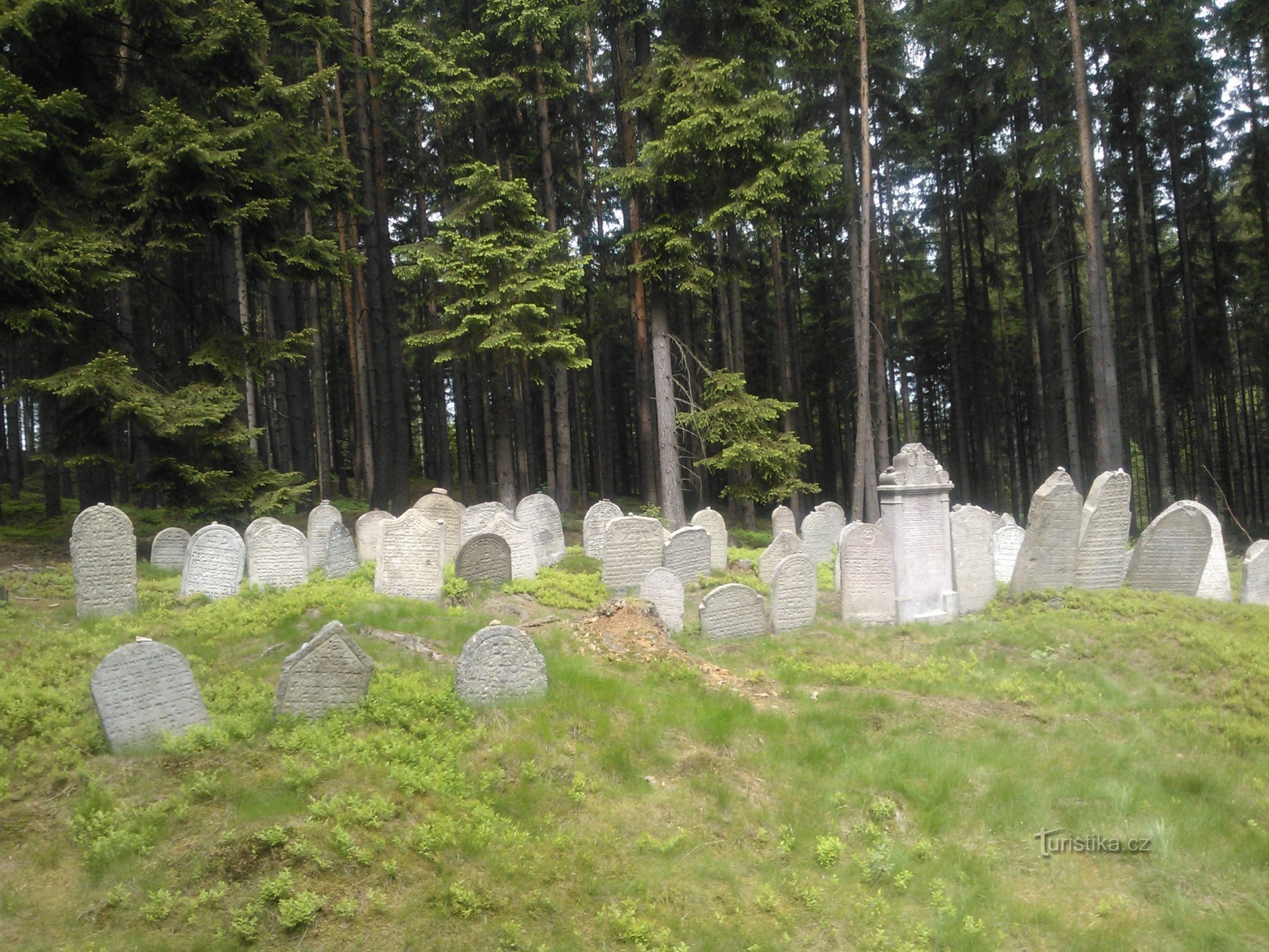 Еврейское кладбище Дрмоул