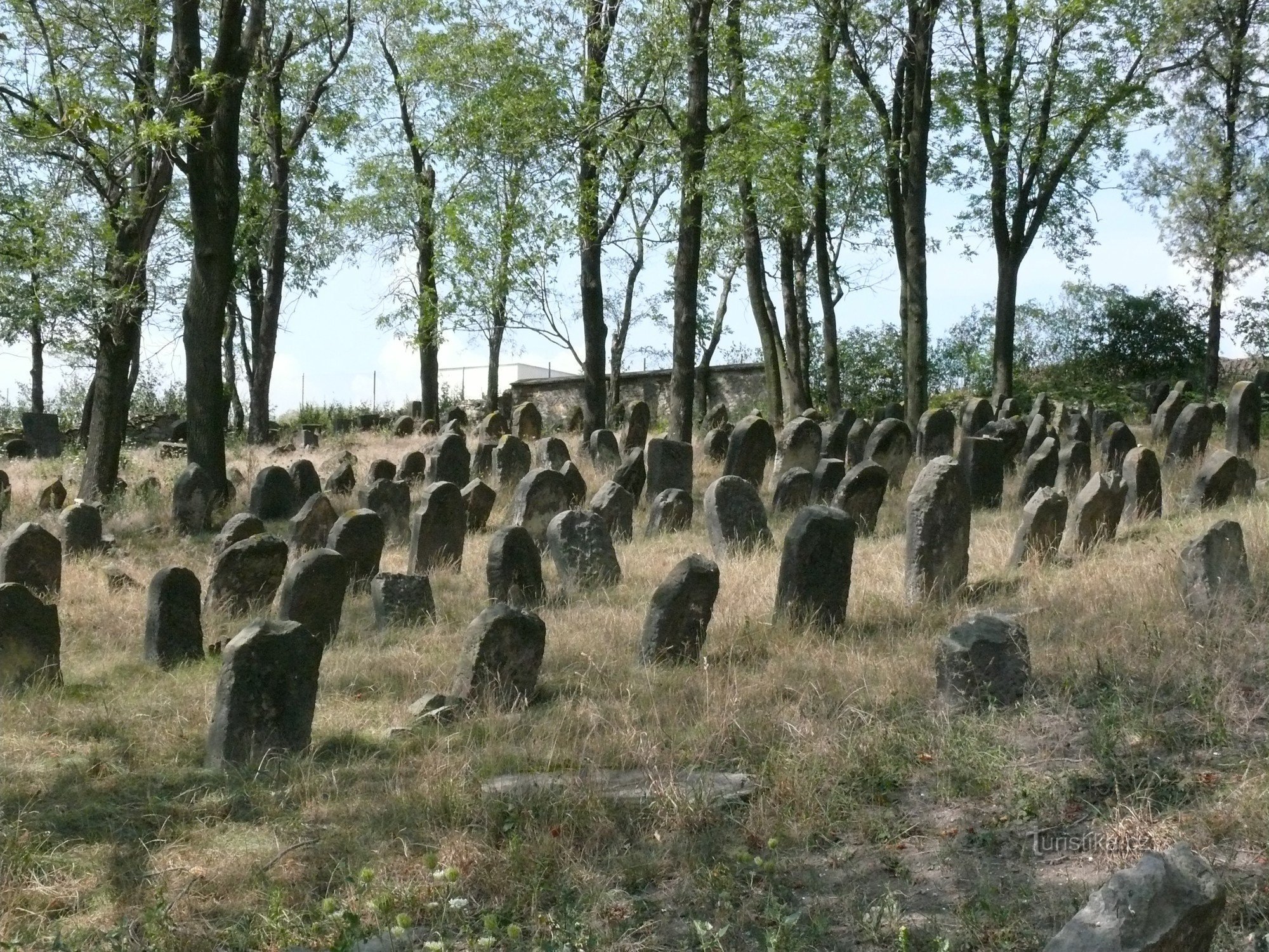 Libochovice jødiske kirkegård