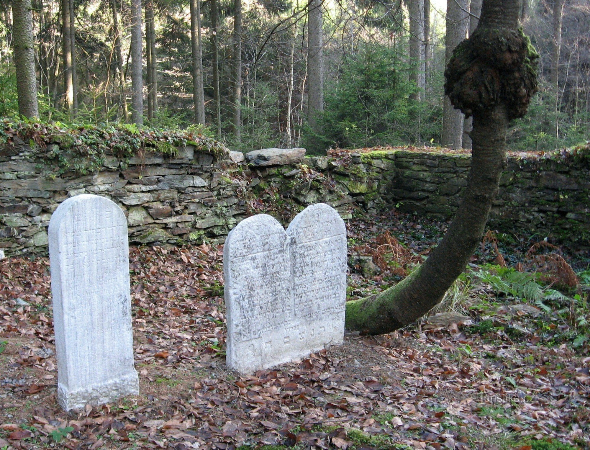 Loučimin juutalainen hautausmaa