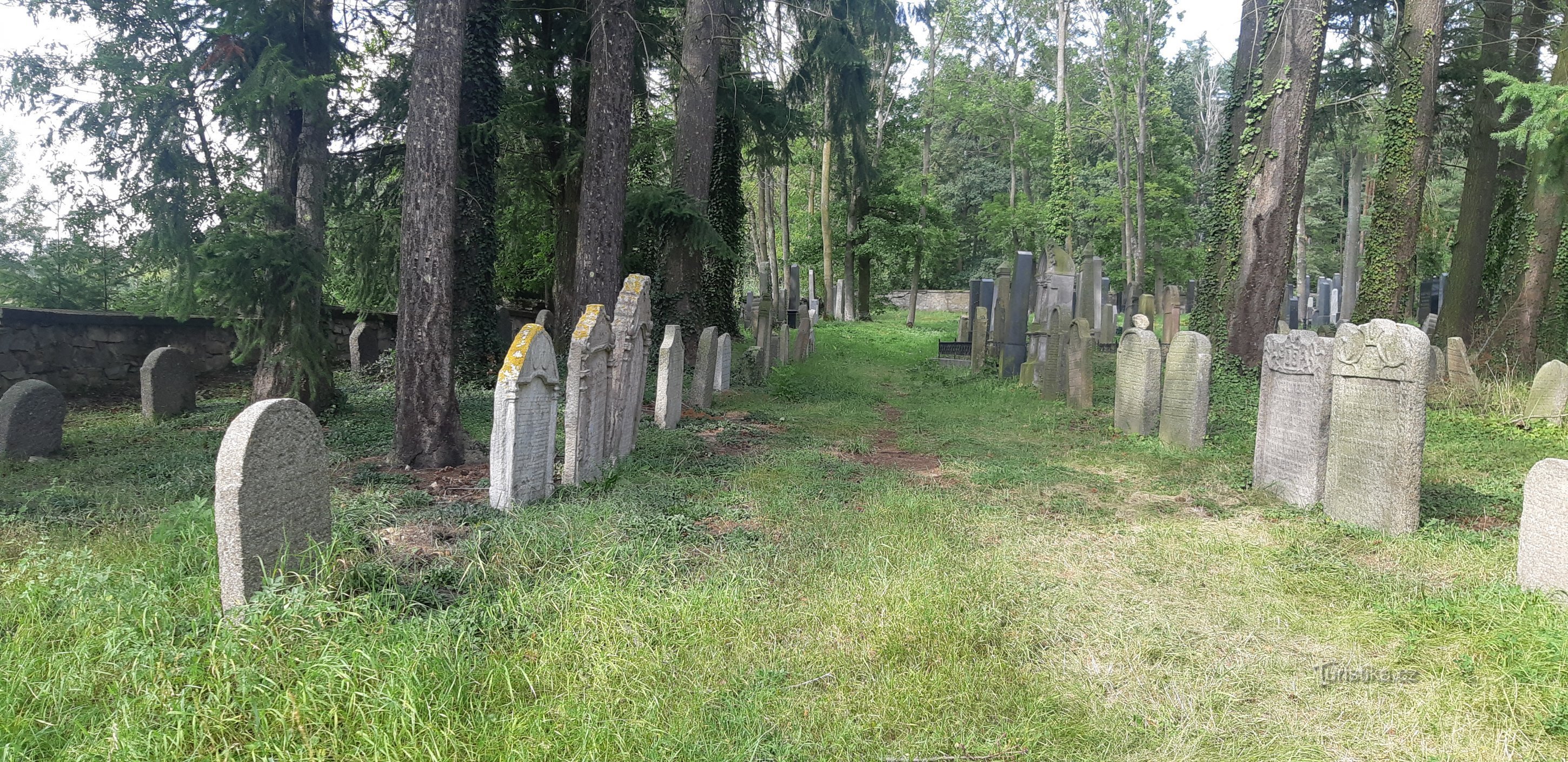 Judiska kyrkogården i Milevsko