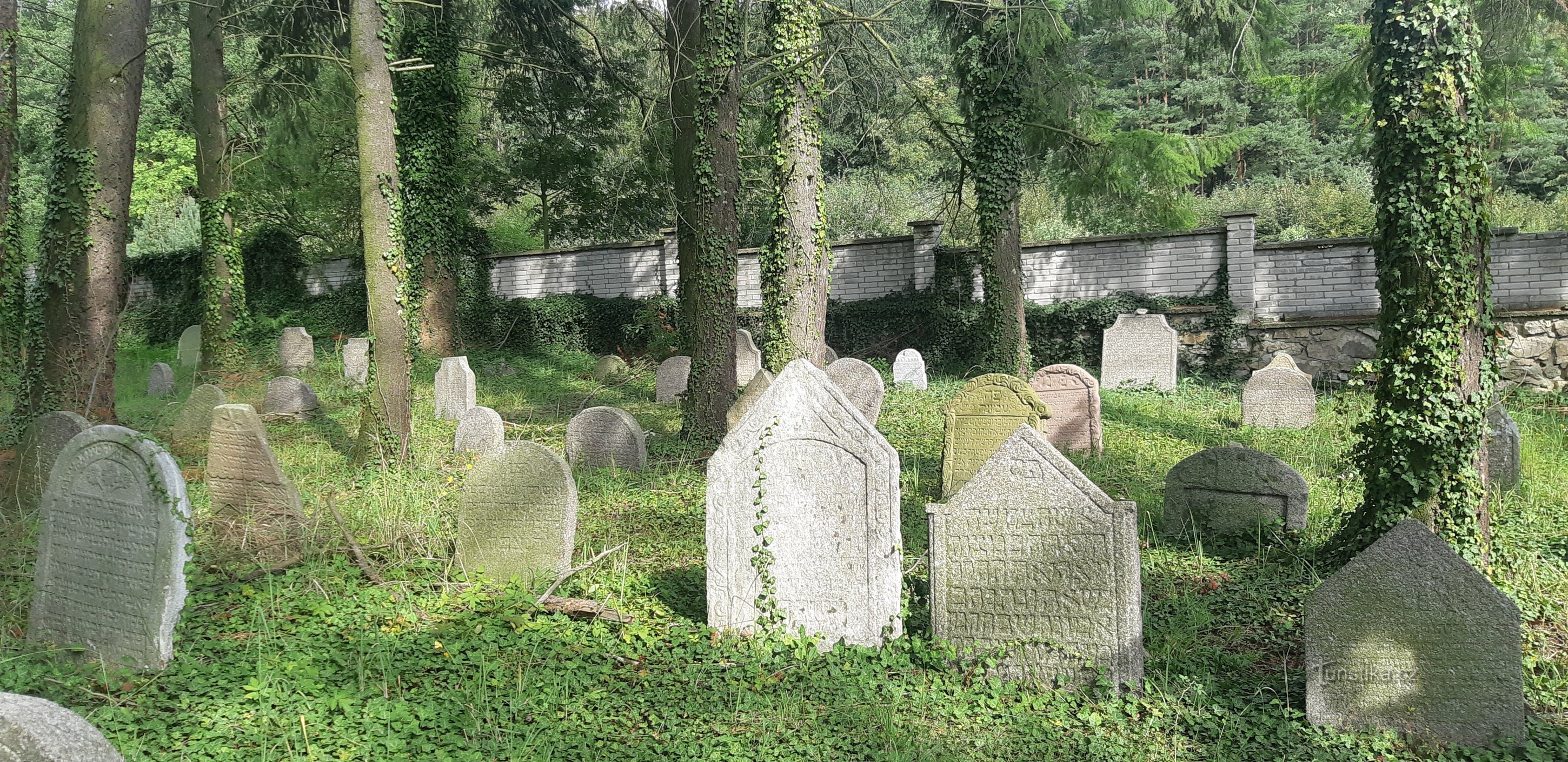 Milevsko jüdischer Friedhof