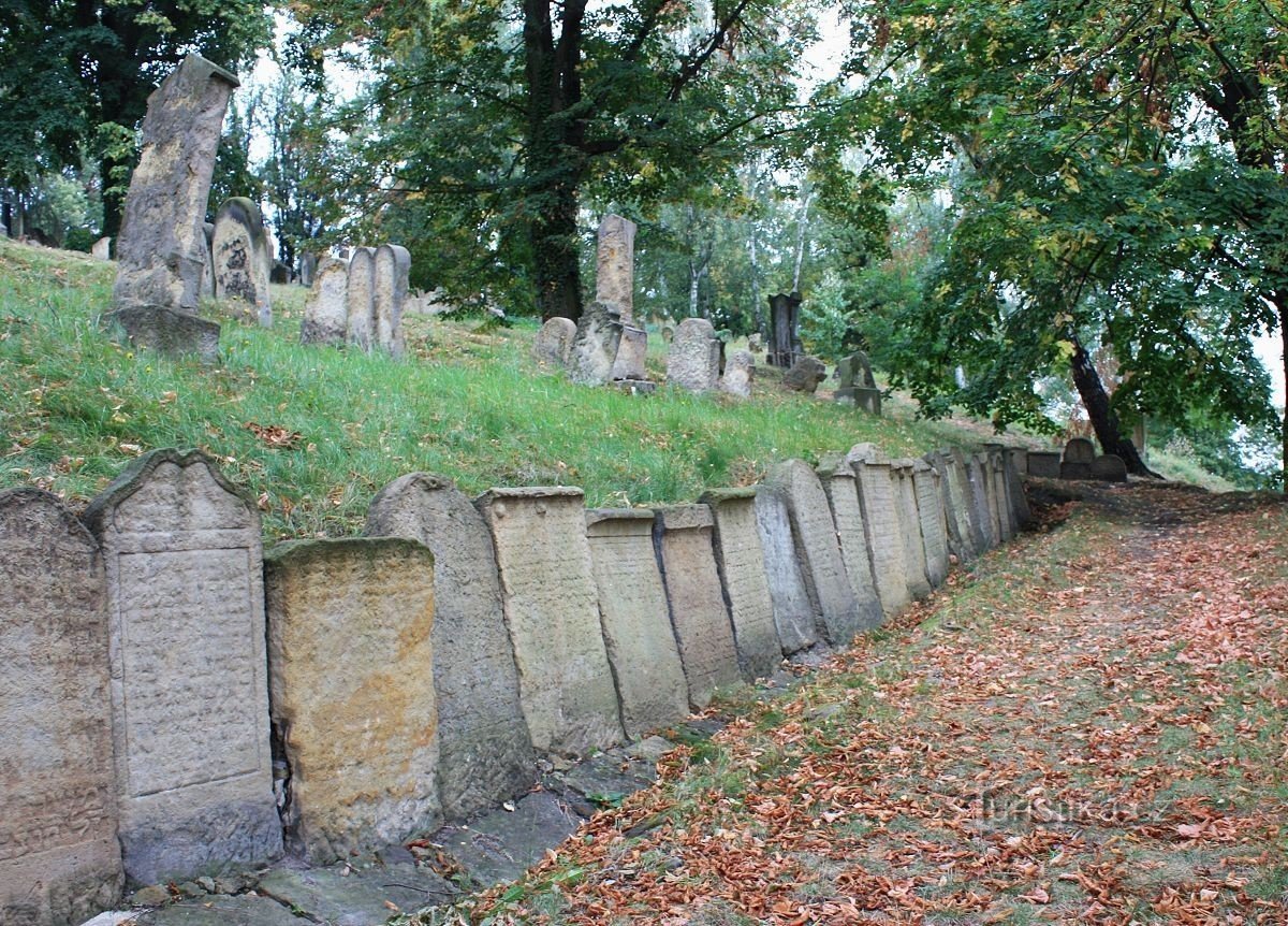 Židovský hřbitov Mladá Boleslav