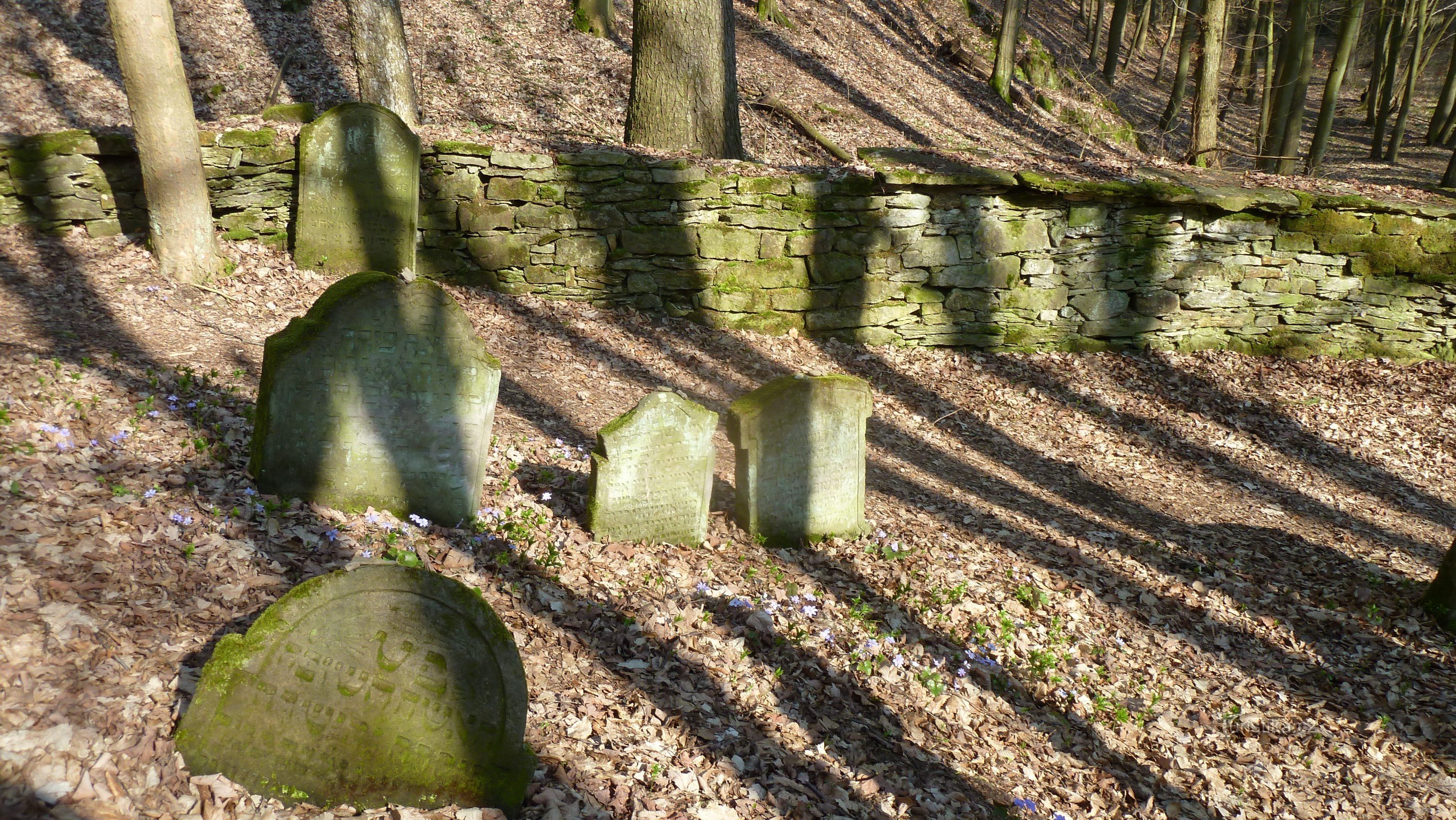 Cimetière juif de Podbrzezi