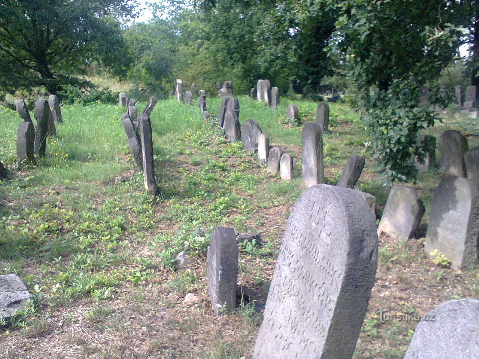 Sobědruhyn juutalainen hautausmaa