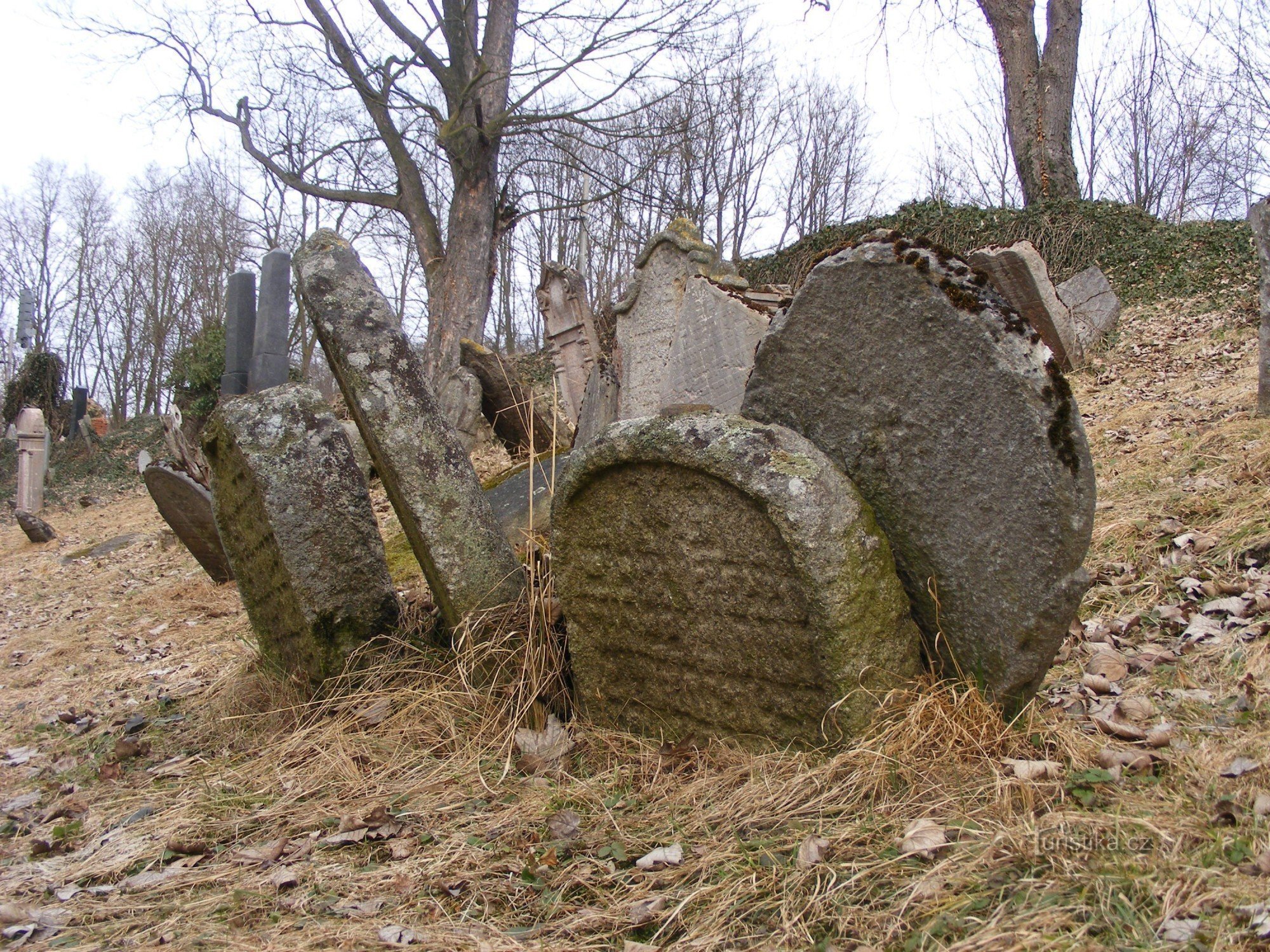 Cimitirul evreiesc - Švihov