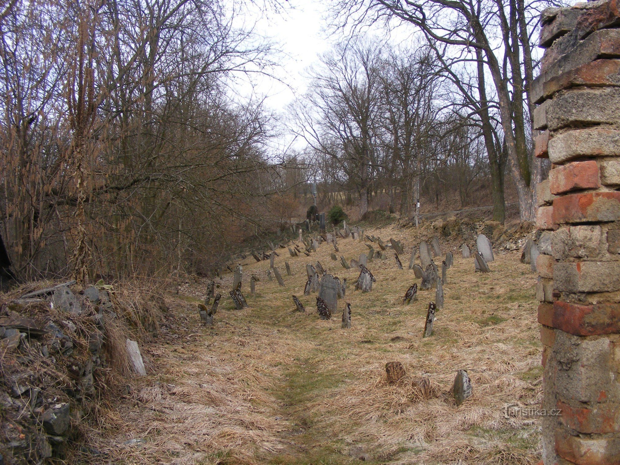 Jewish cemetery - Švihov