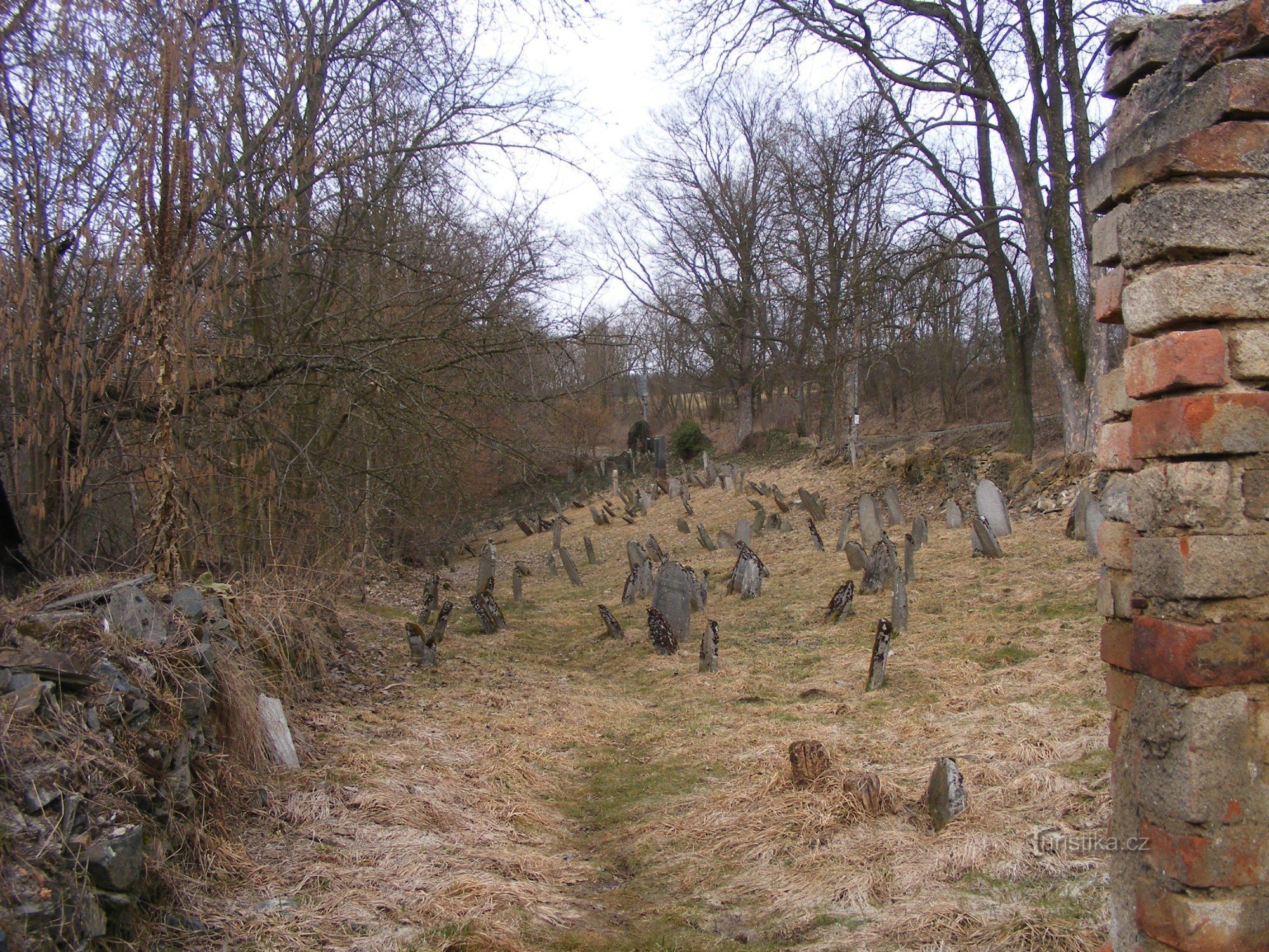 Judisk kyrkogård - Švihov