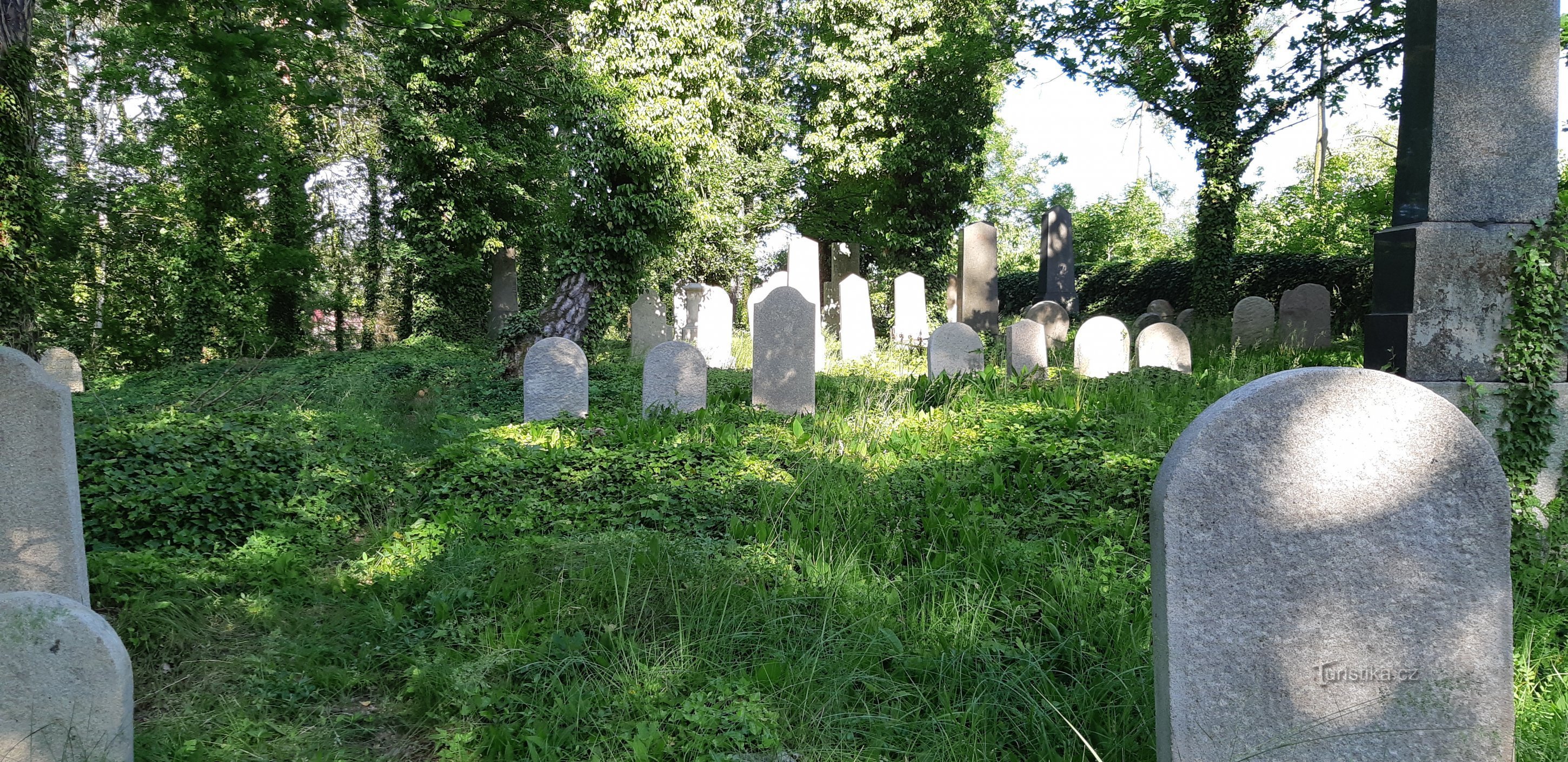 Židovský hřbitov Tučapy