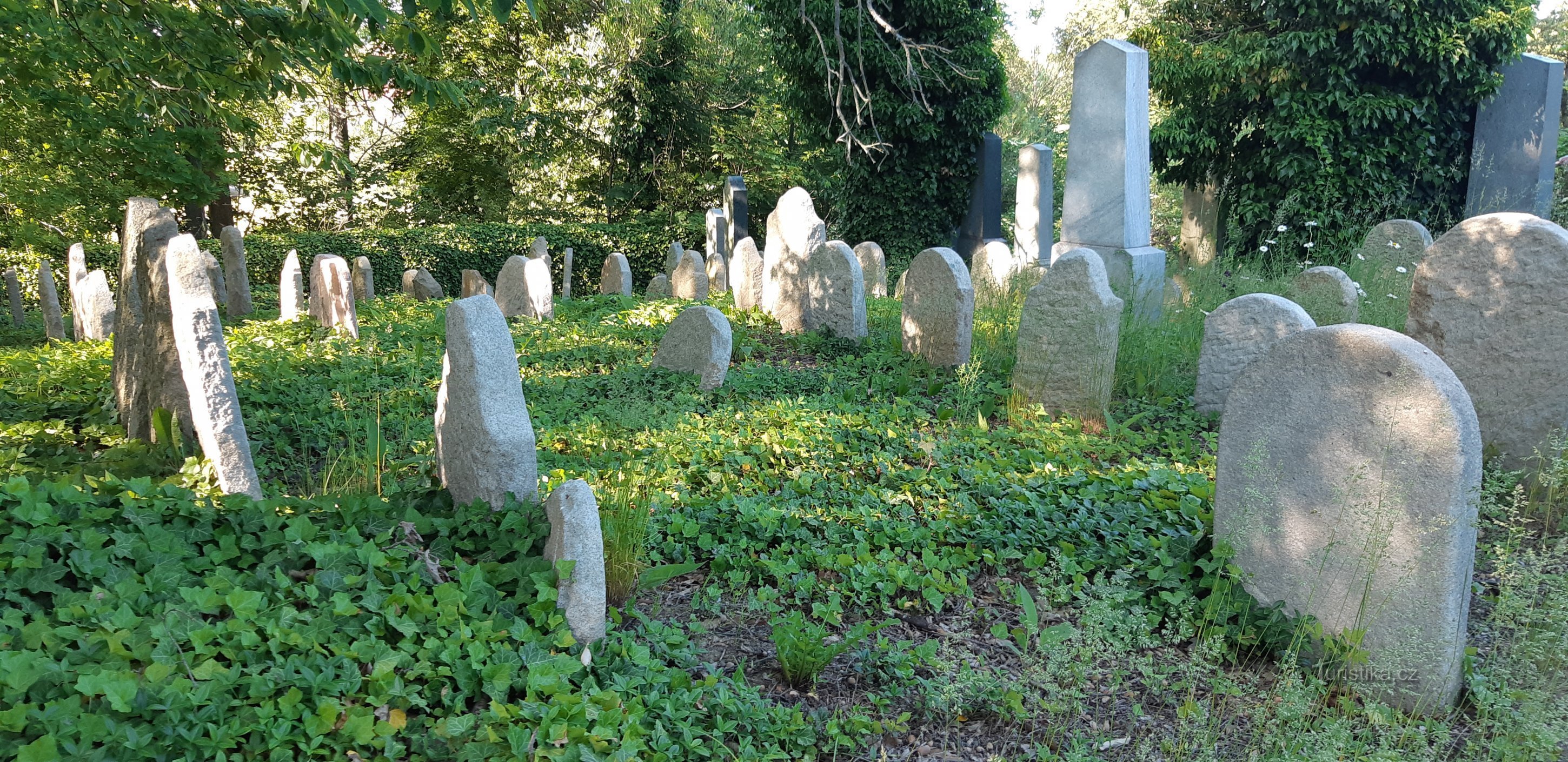 Joodse begraafplaats Tučapy
