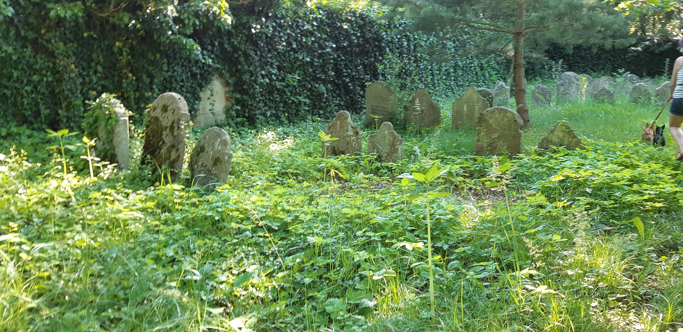 Tučapy jødiske kirkegård