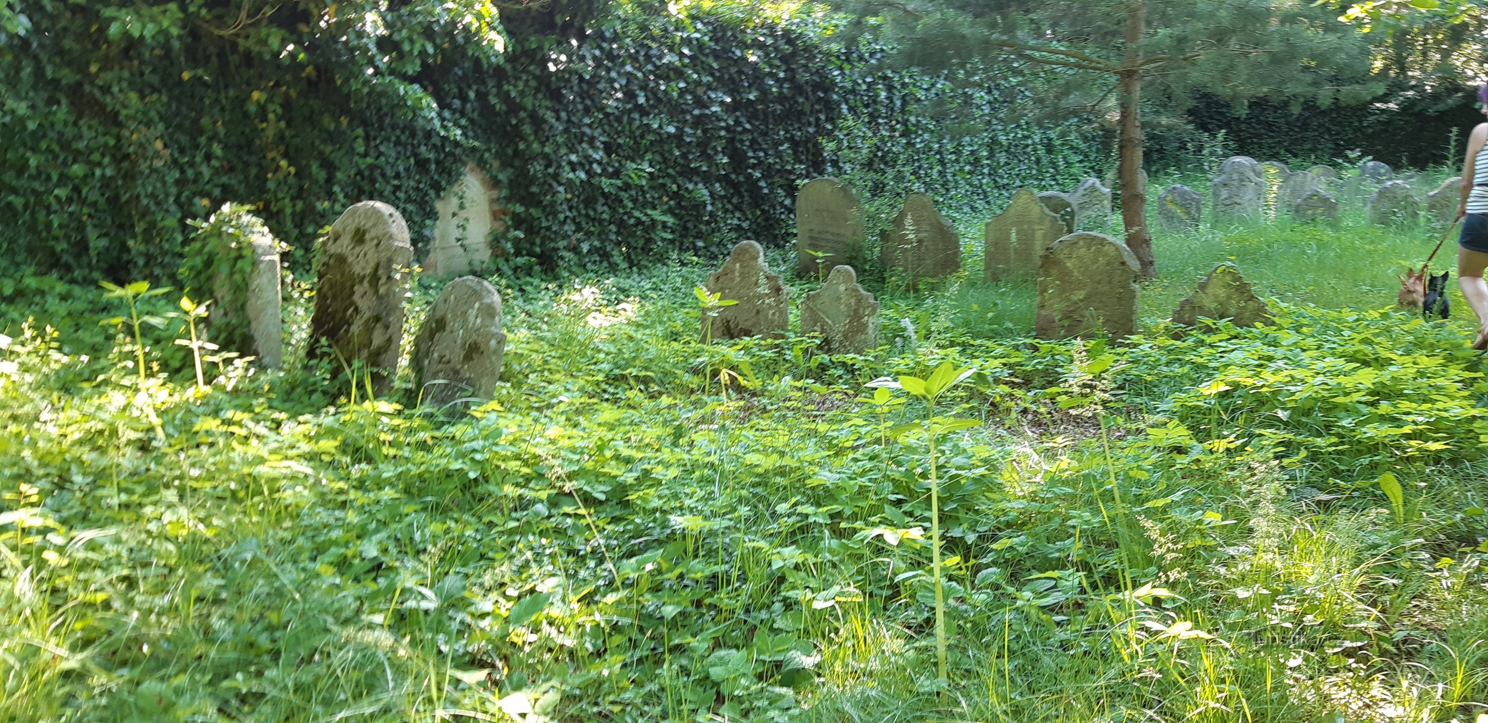 Cimetière juif de Tučapy