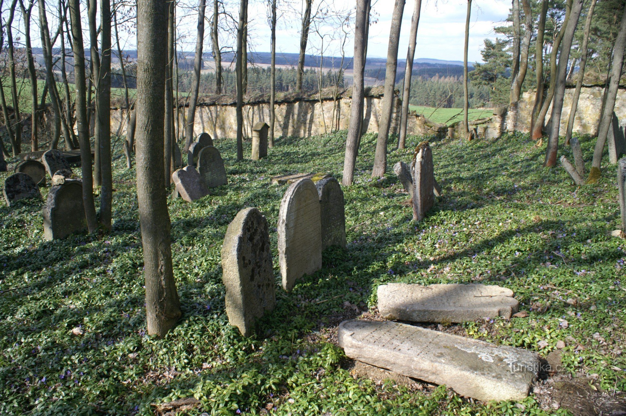 Judisk kyrkogård nära Prostiboř