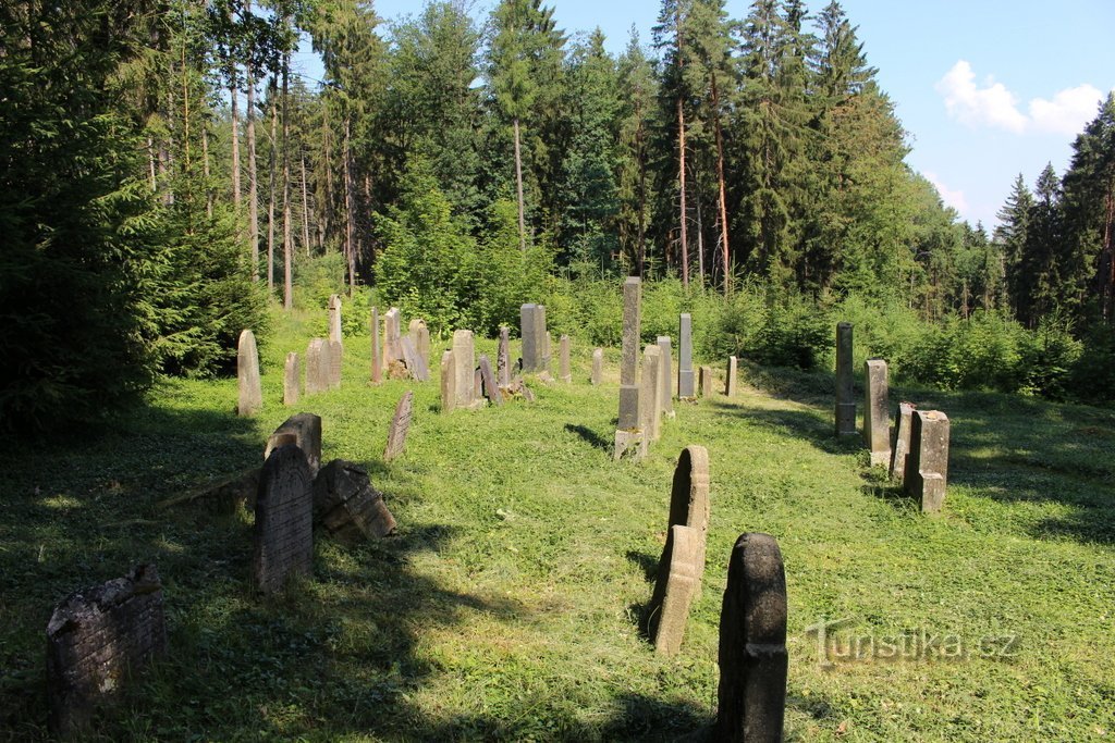 Cimitirul evreiesc de lângă Ptenín, vedere generală