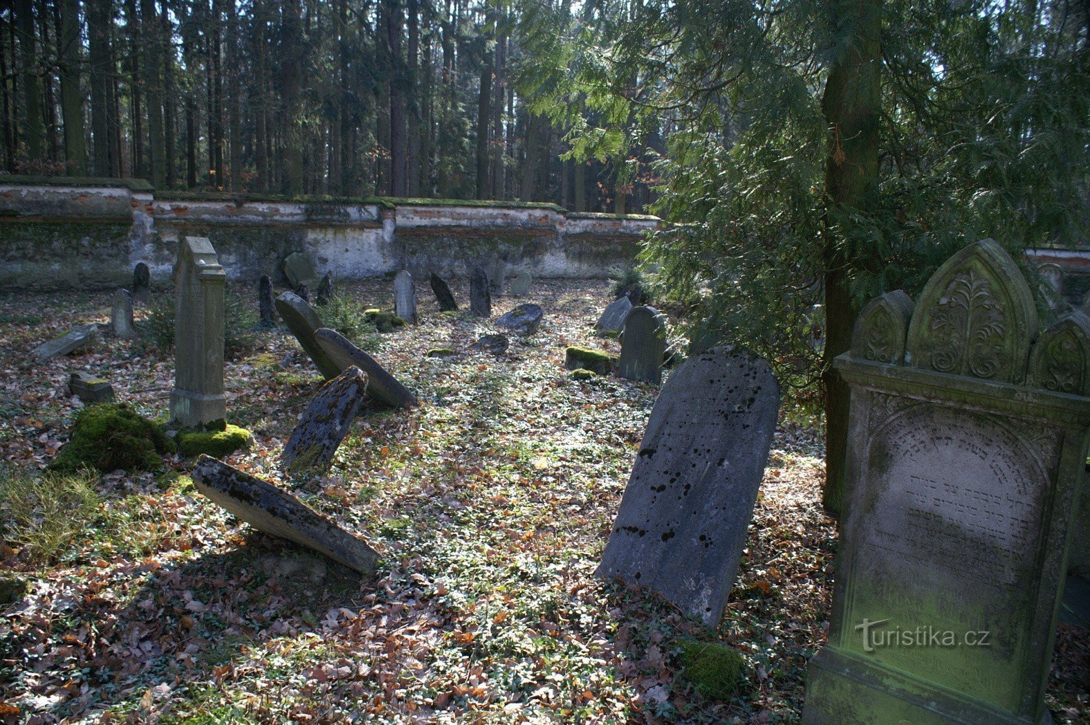 PUCLICのユダヤ人墓地