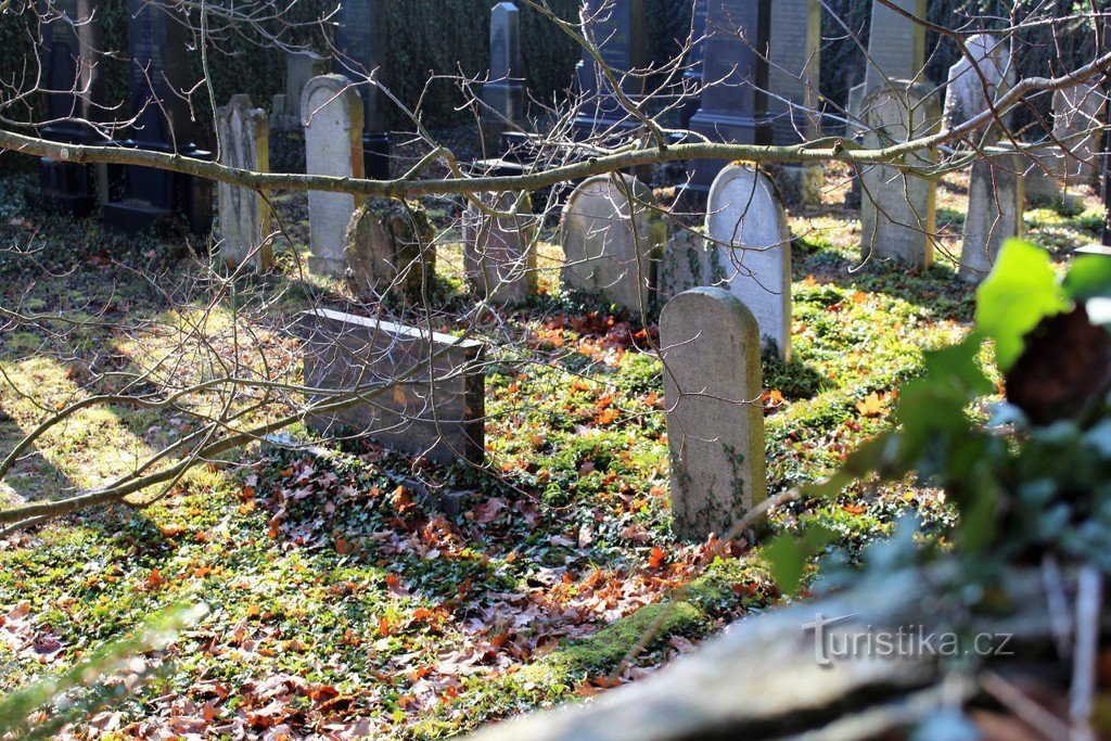 Judisk kyrkogård nära Velhartice