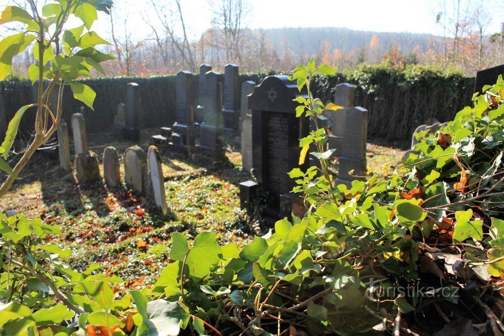 Cmentarz żydowski w pobliżu Velhartic, widok od strony NE