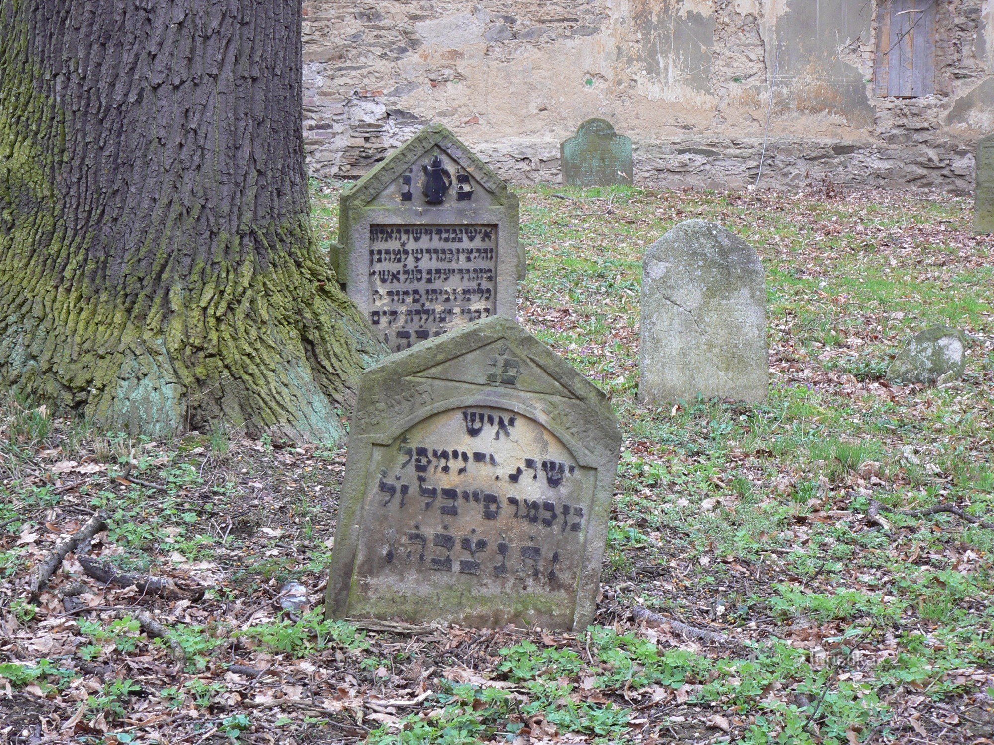 Cimetière juif d'Uhříněves