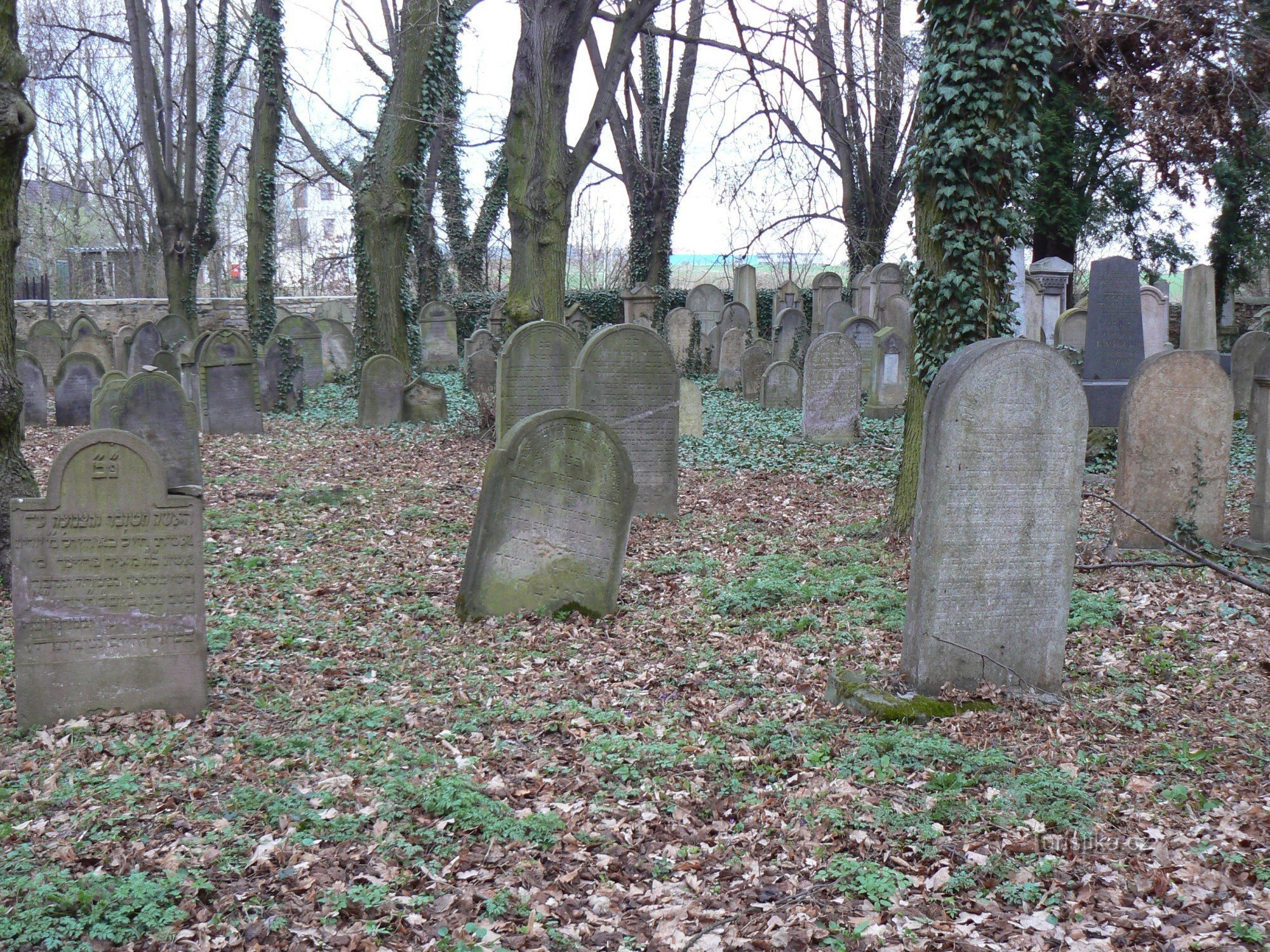 Cimitirul Evreiesc Uhříněves