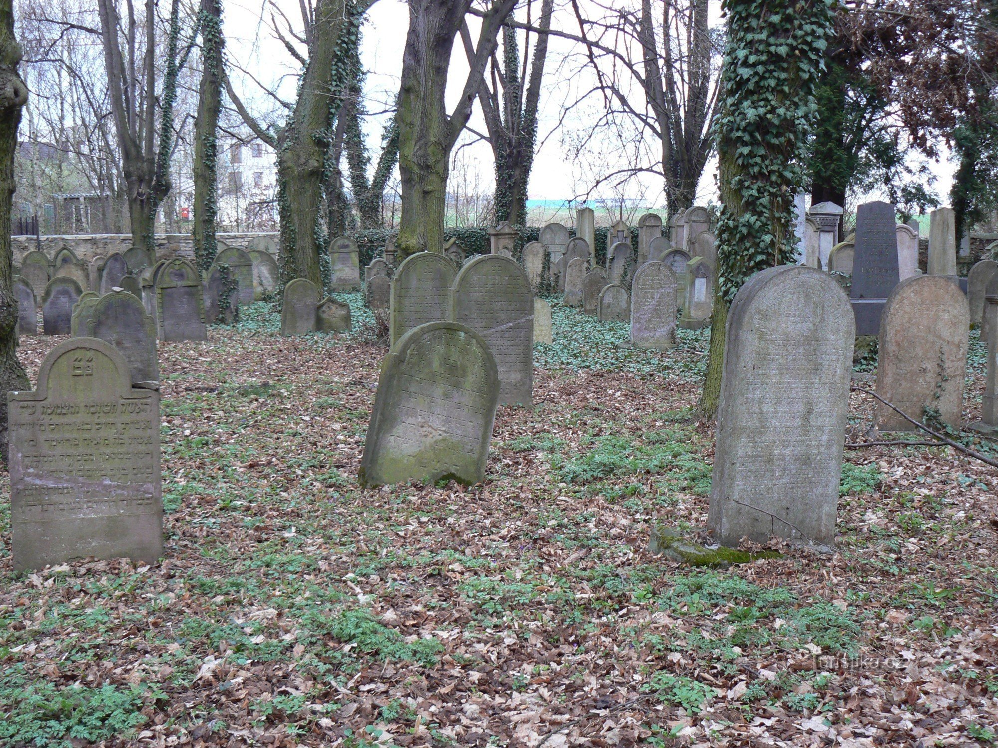 Cimetière juif d'Uhříněves