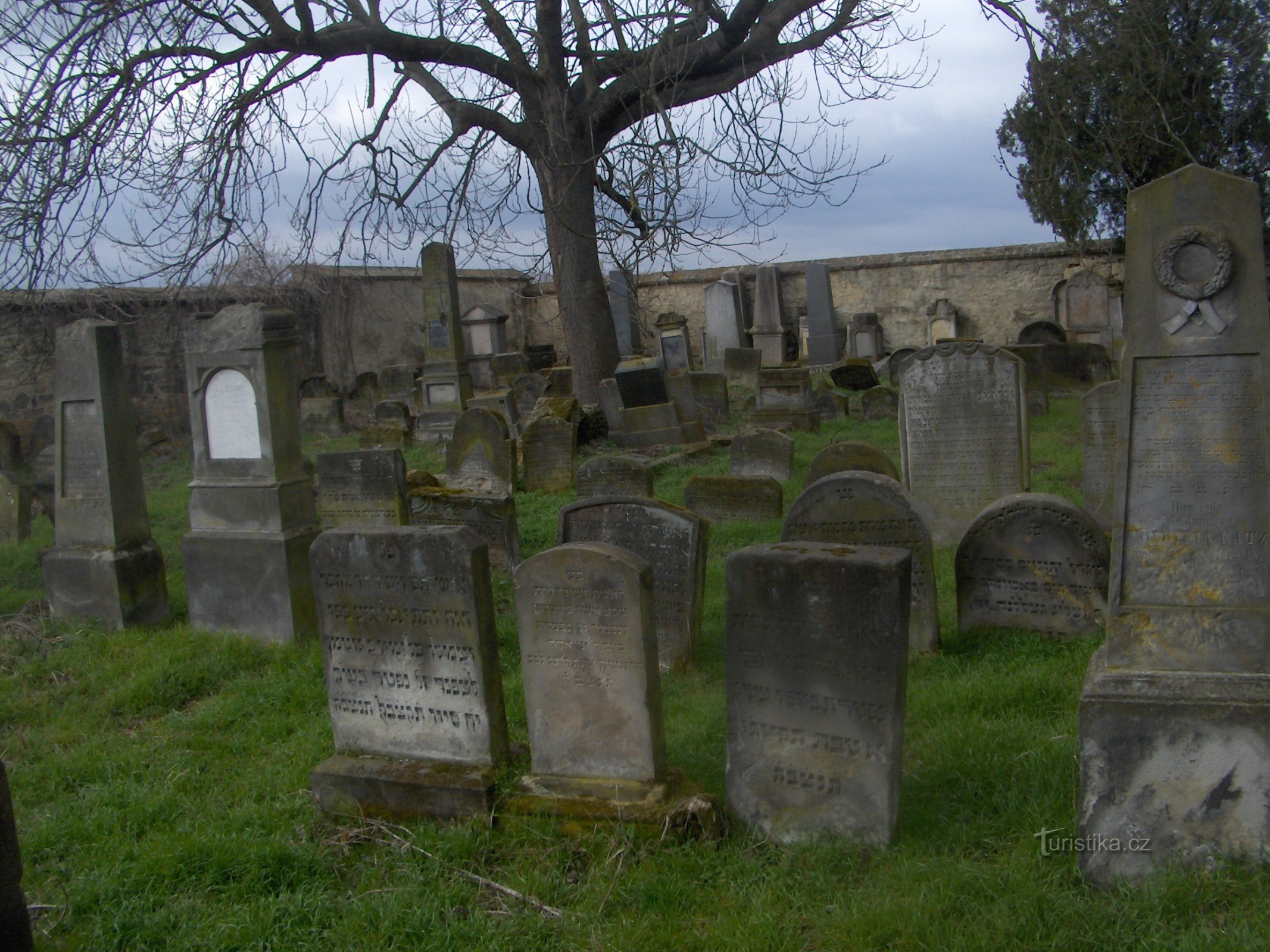 Židovsko groblje u Budyni nad Ohří.