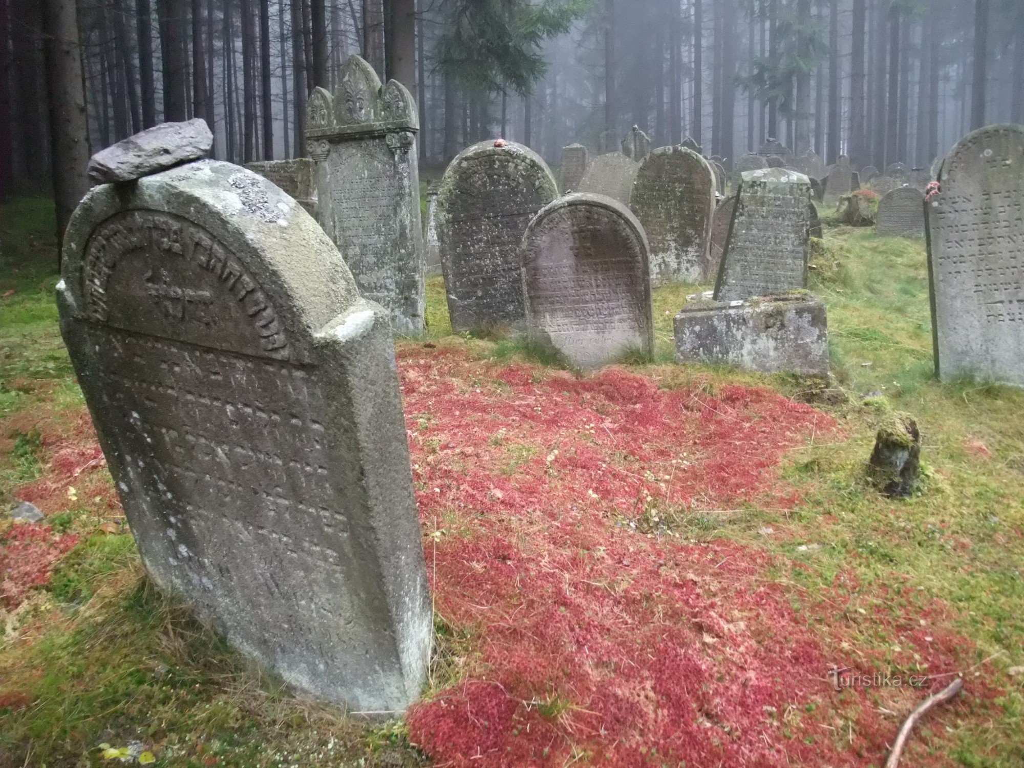 Cimitero ebraico di Drmoul