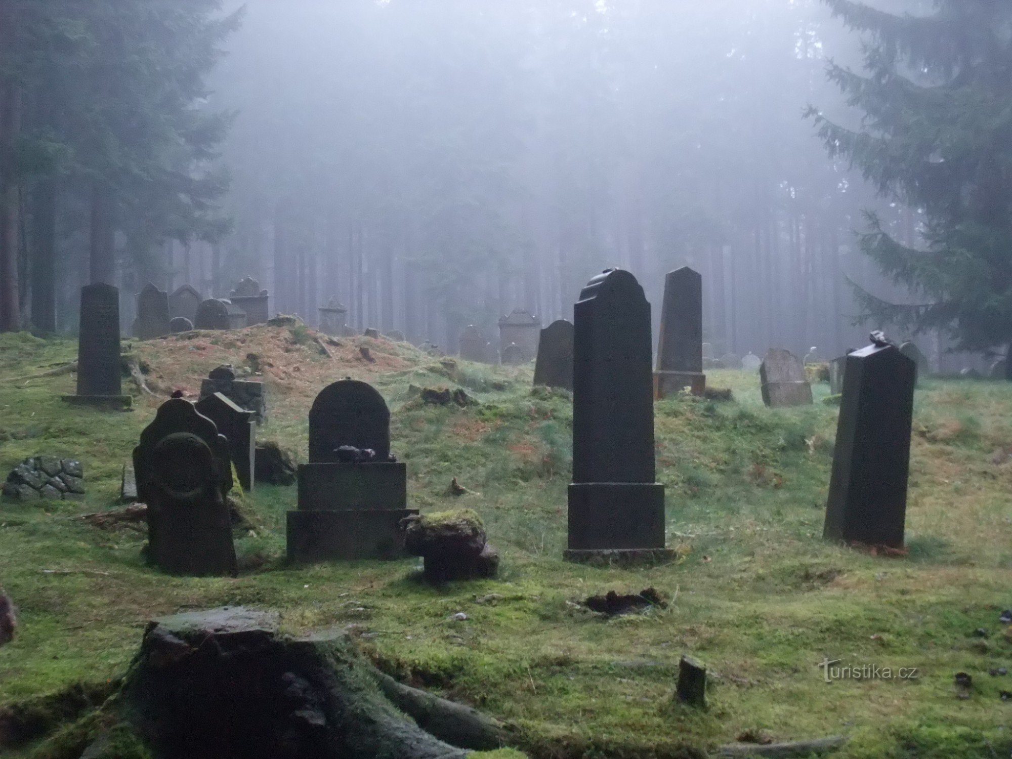 Jewish cemetery in Drmoul