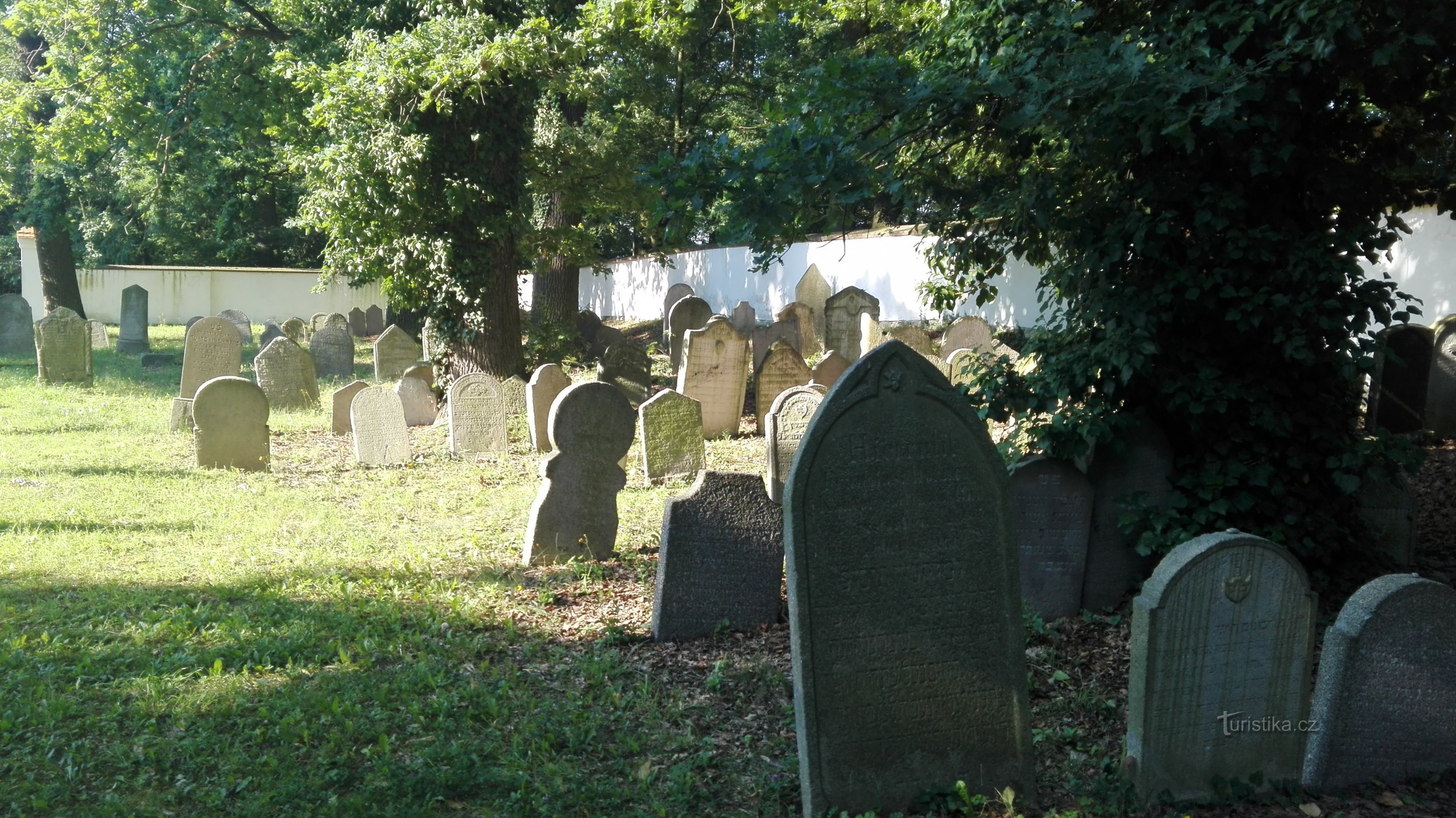 Židovský hřbitov v Hluboké nad Vltavou