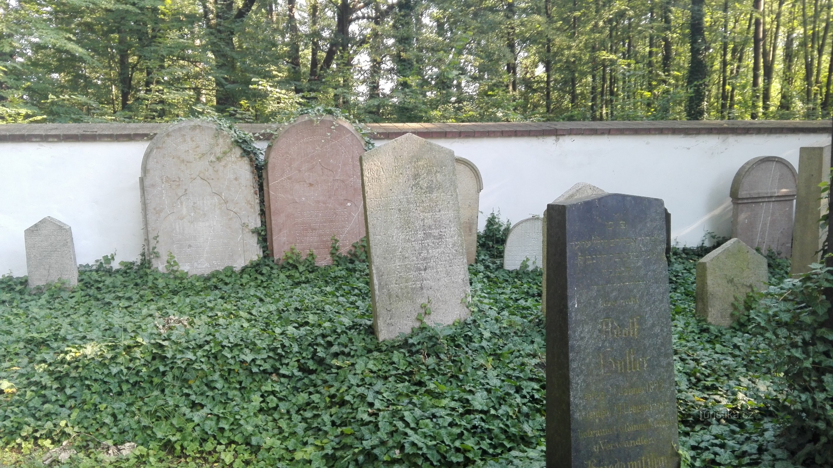 Jewish cemetery in Hluboká nad Vltavou