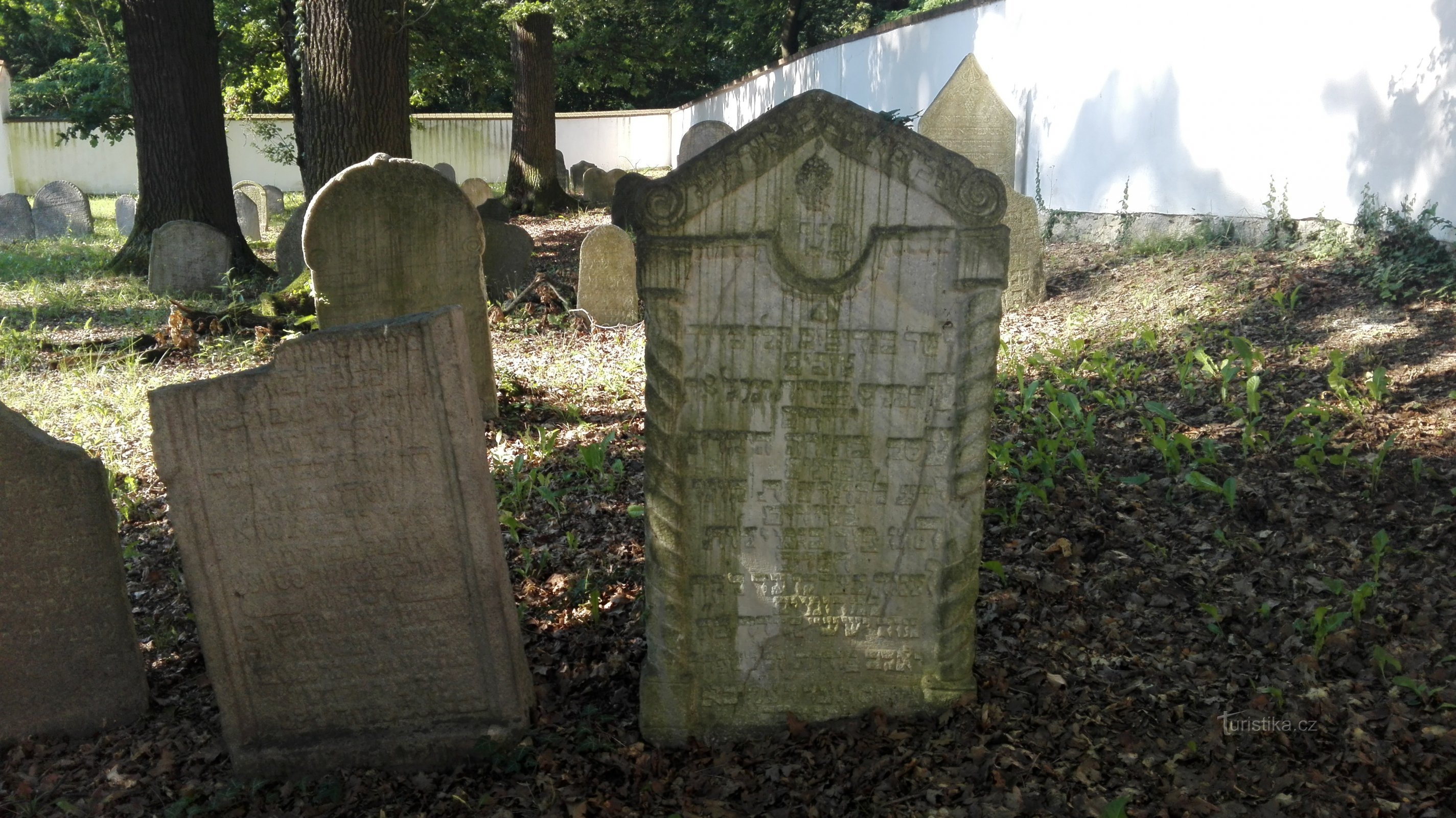 Jewish cemetery in Hluboká nad Vltavou