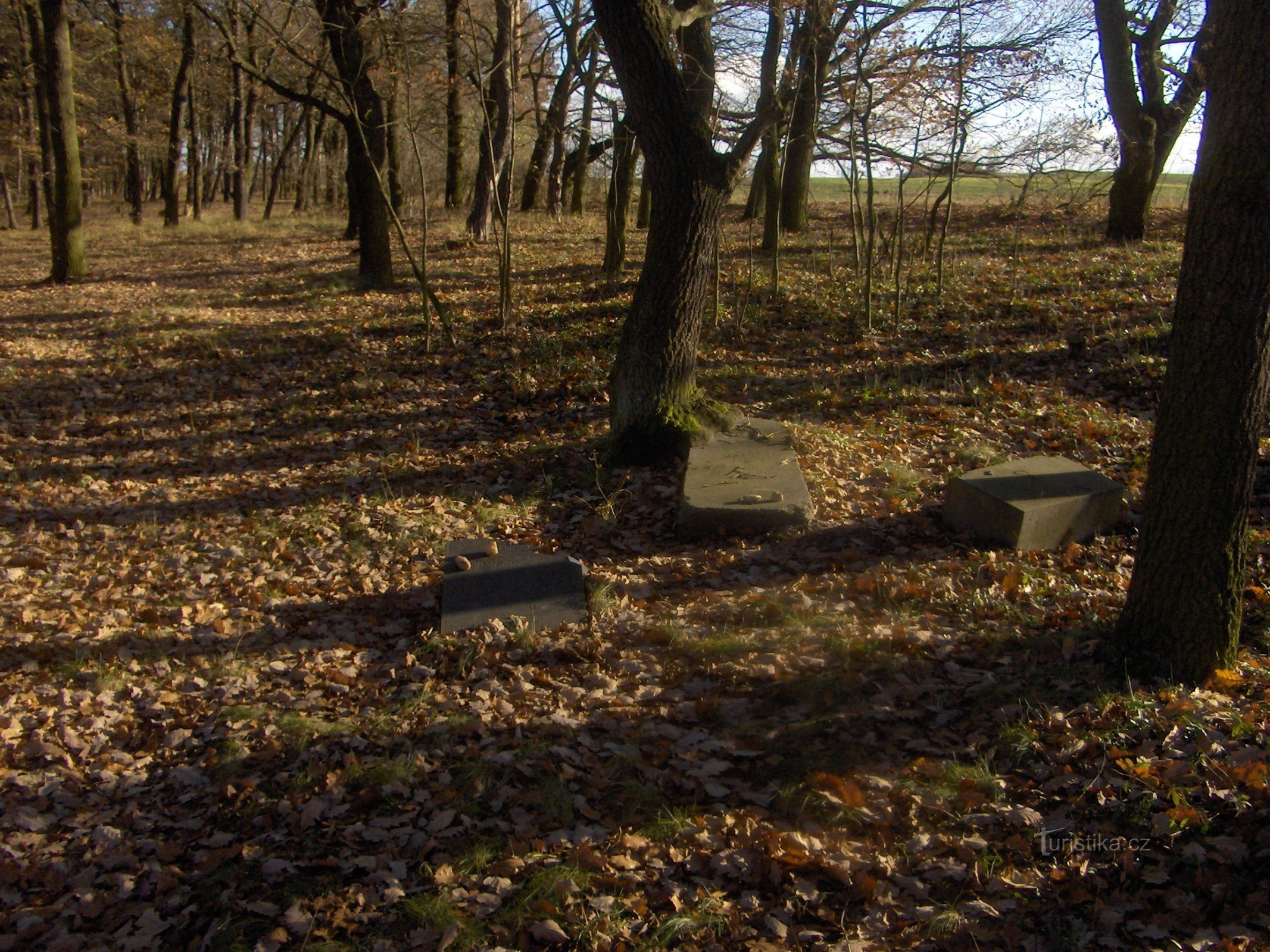 ホルジェネックのユダヤ人墓地。