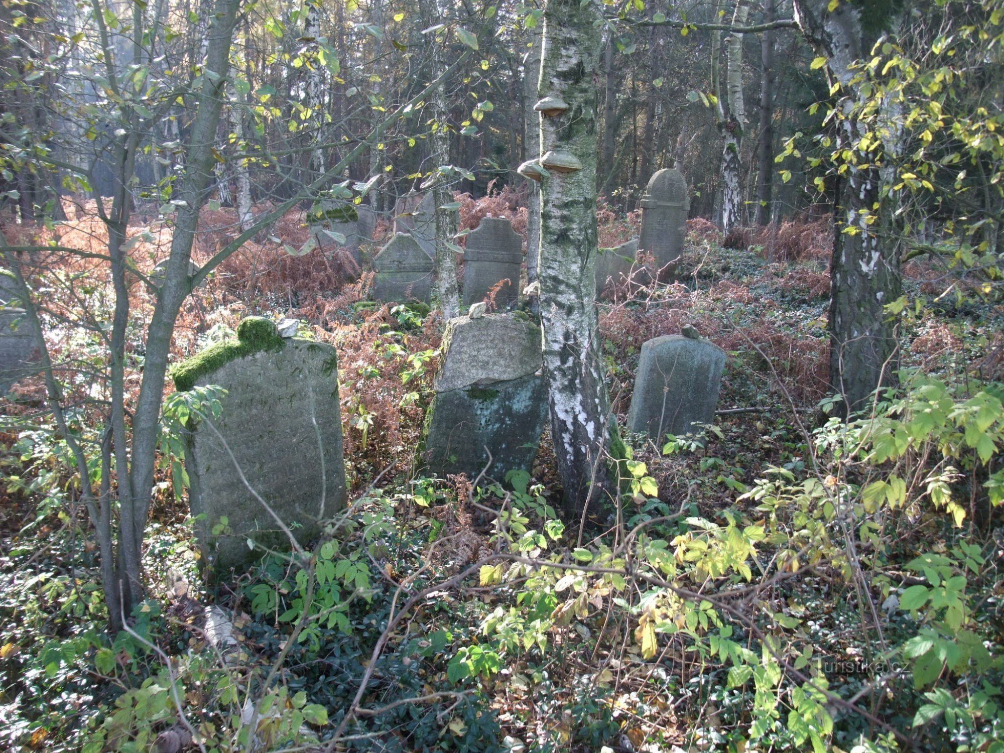 Еврейское кладбище в Ломничке