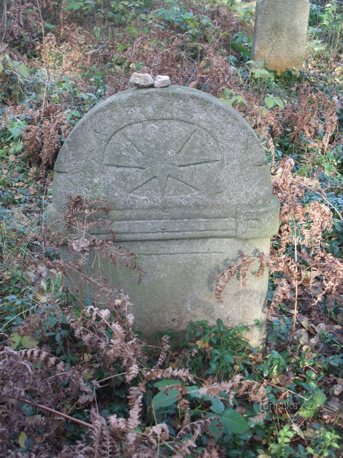 Judisk kyrkogård i Lomnička