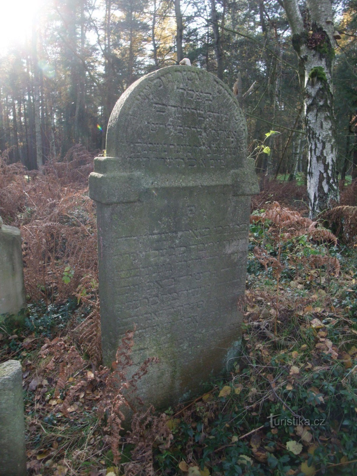 Jewish cemetery in Lomnička