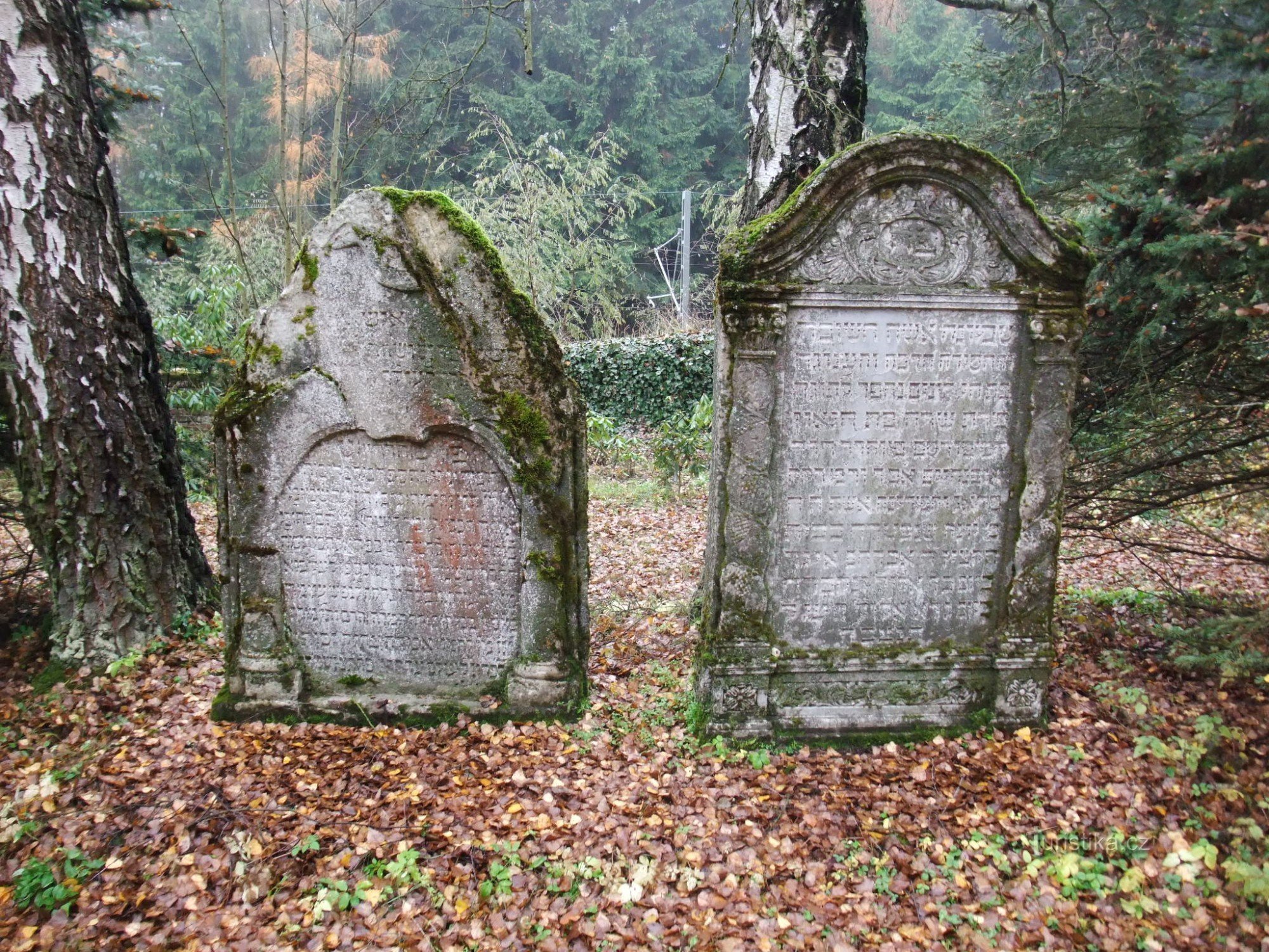 Jewish cemetery in Mariánské Lázně