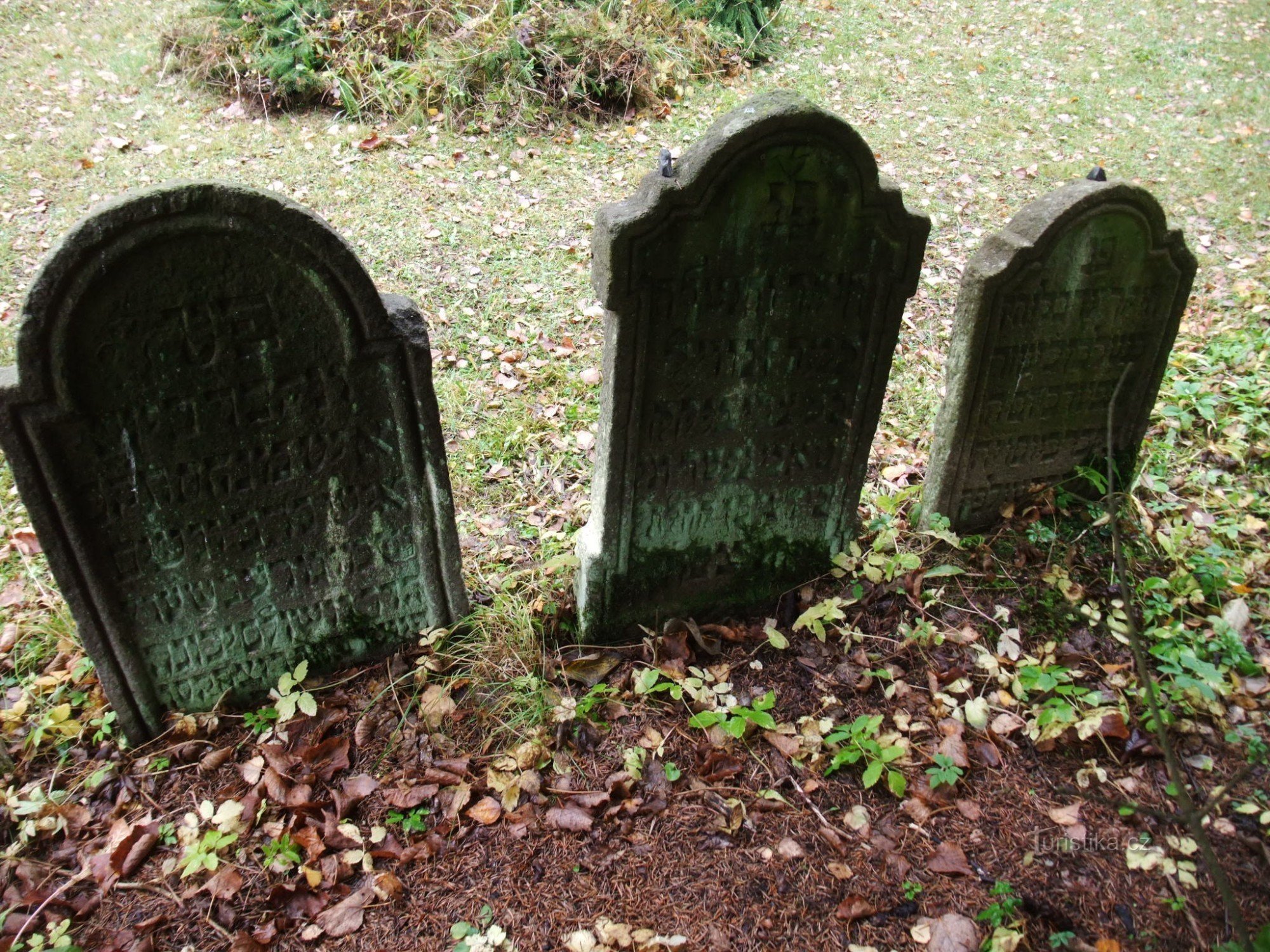 Jewish cemetery in Mariánské Lázně