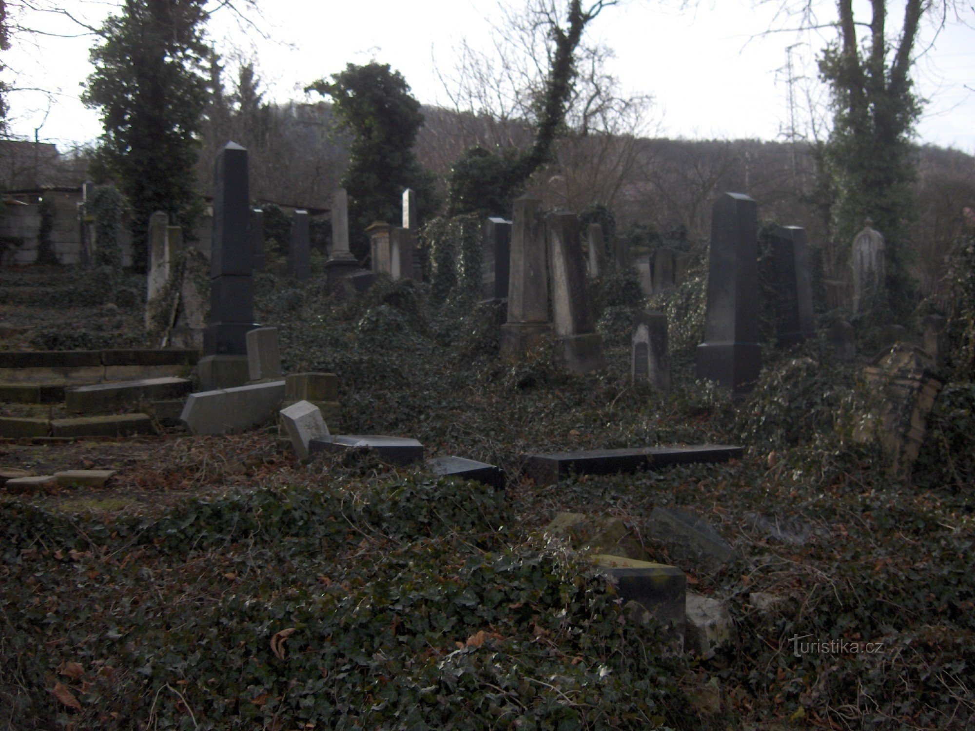 Jewish cemetery in Most.