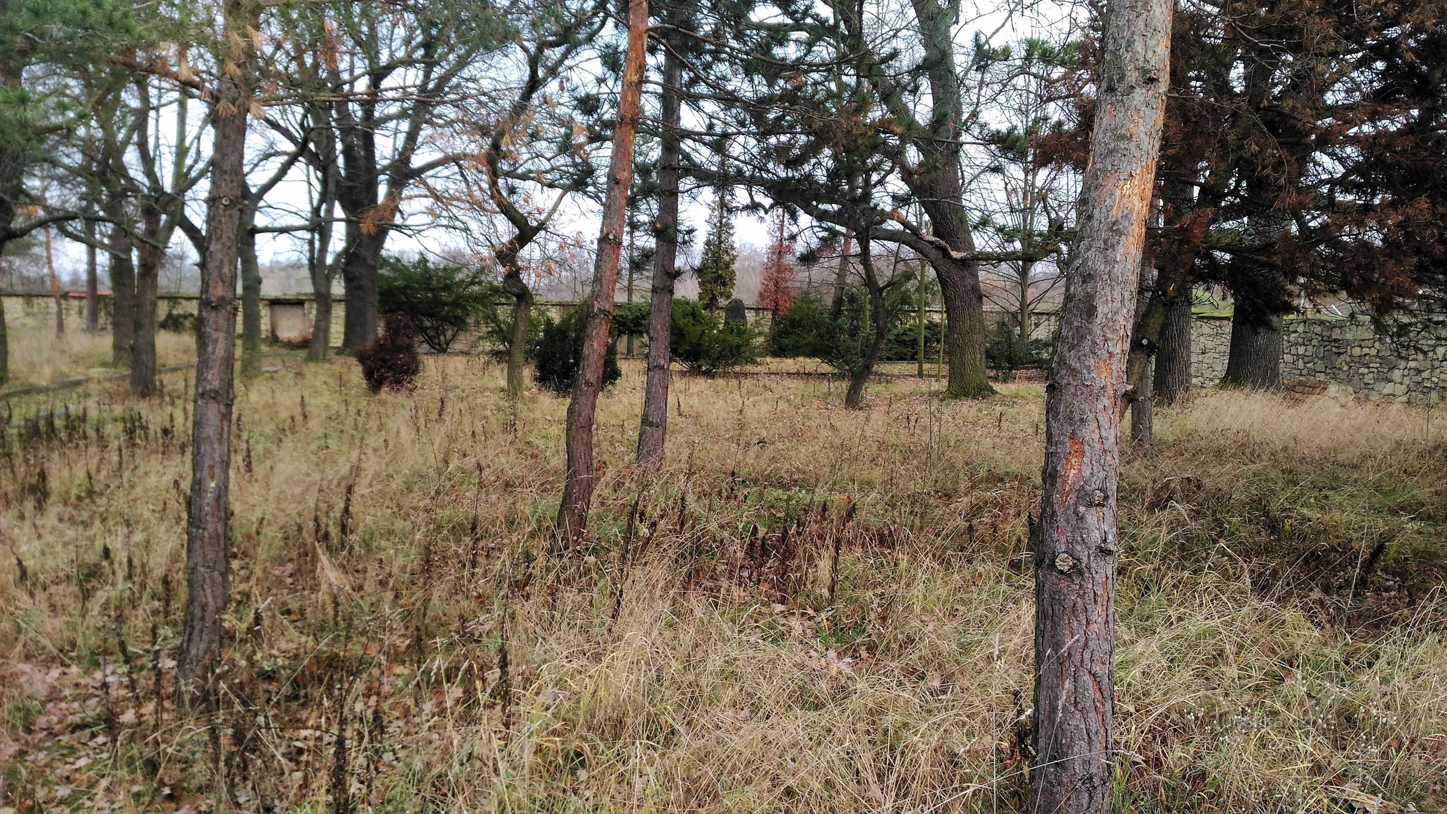 Jewish cemetery in Postoloprty.