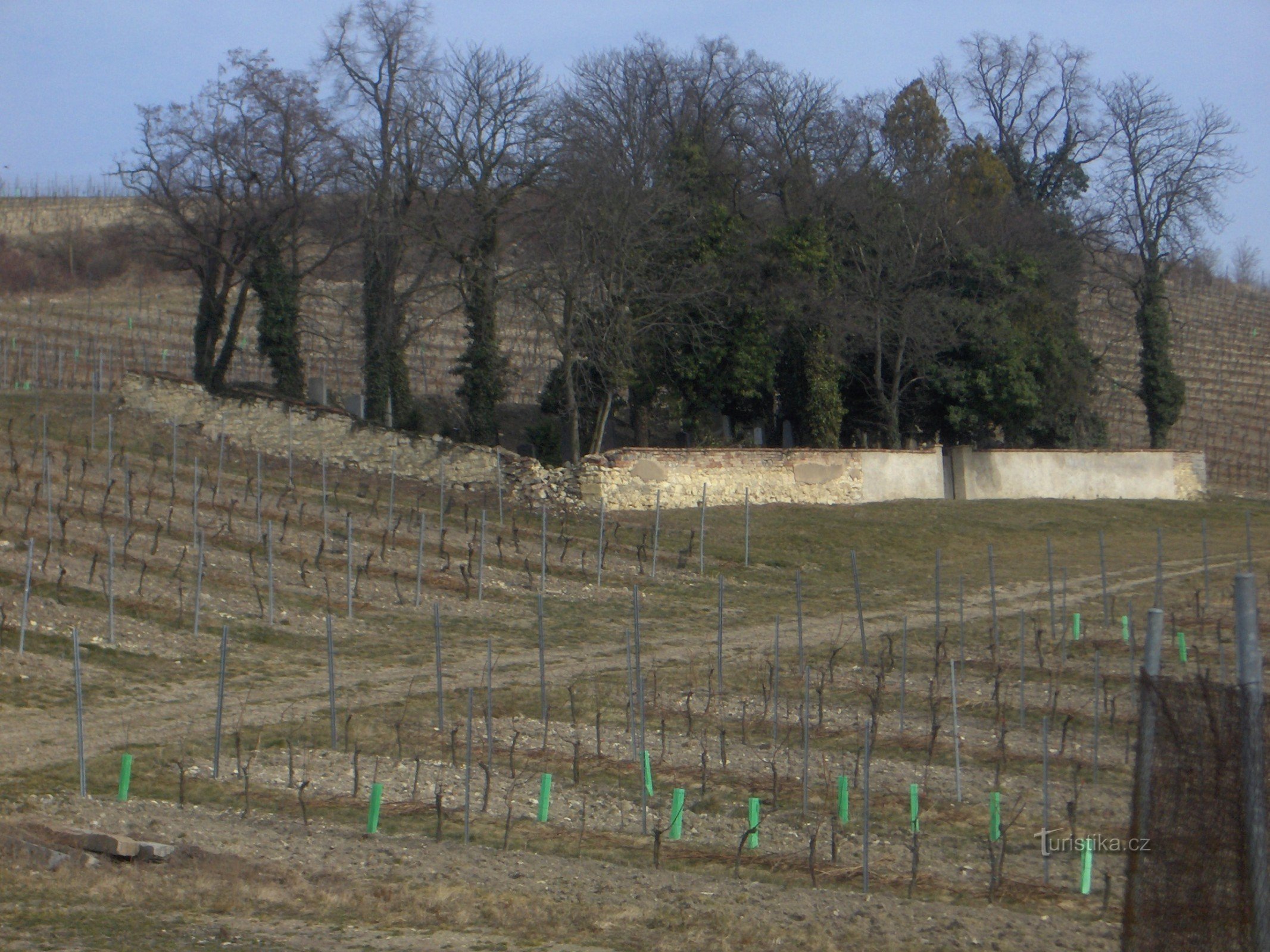 Jødisk kirkegård i Třebívlice.