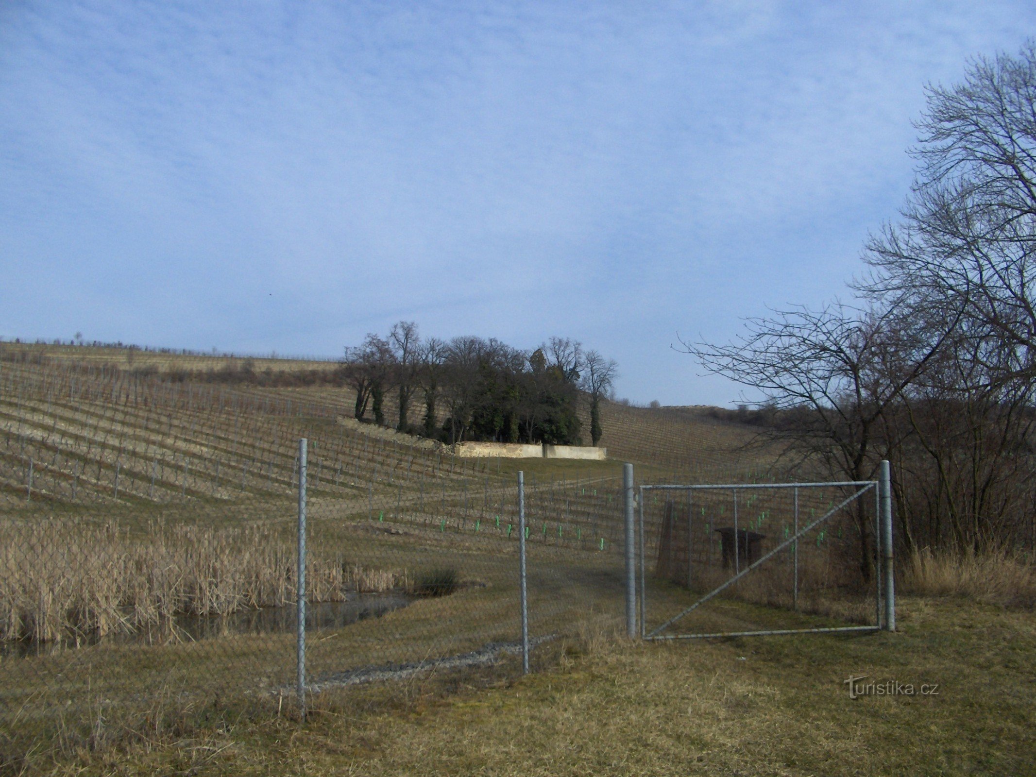 Jüdischer Friedhof in Třebívlice.