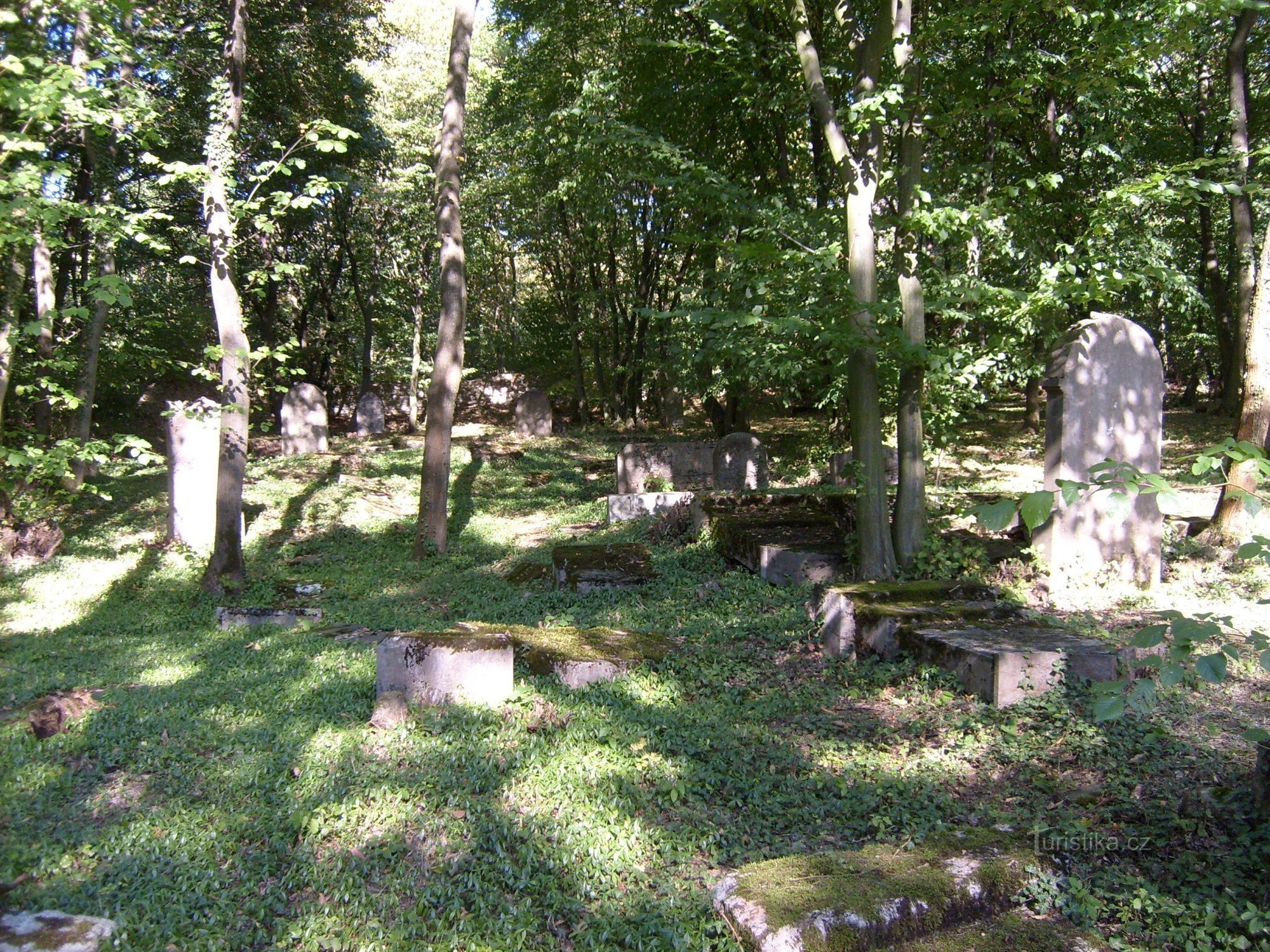 Jewish cemetery in Třebotov