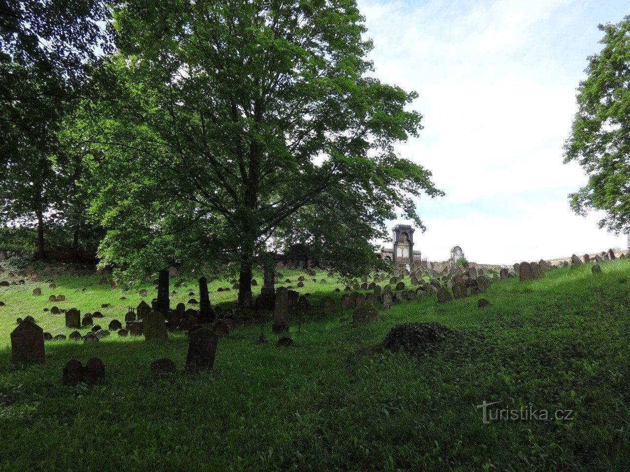 Jewish cemetery in Ivančice