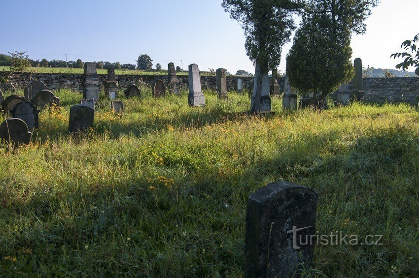 Большое буковинское еврейское кладбище